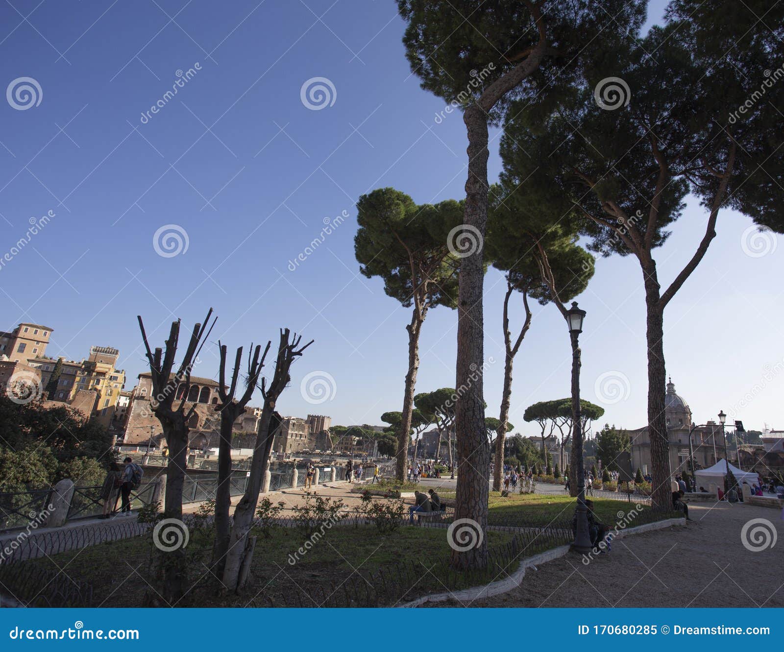 trees and blue sky along a gravel path in rome leading to piazza venetia