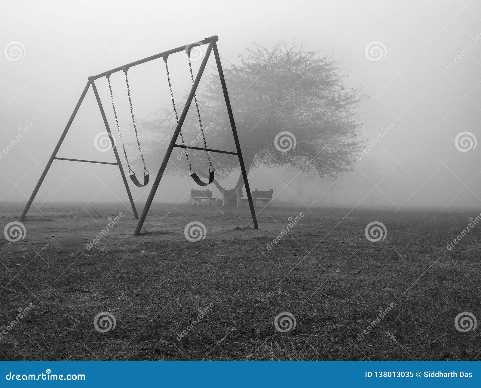 Swings, Trees and Branches in Winter Foggy Weather Stock Image - Image