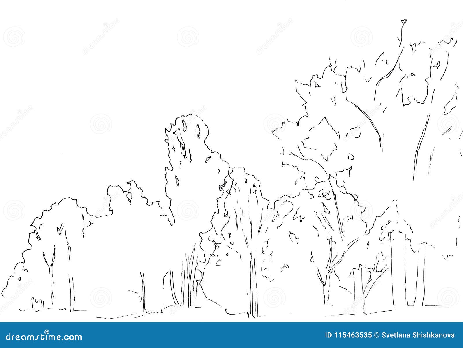 Premium Vector  Hand drawn bush dendrology sketch element graphic template