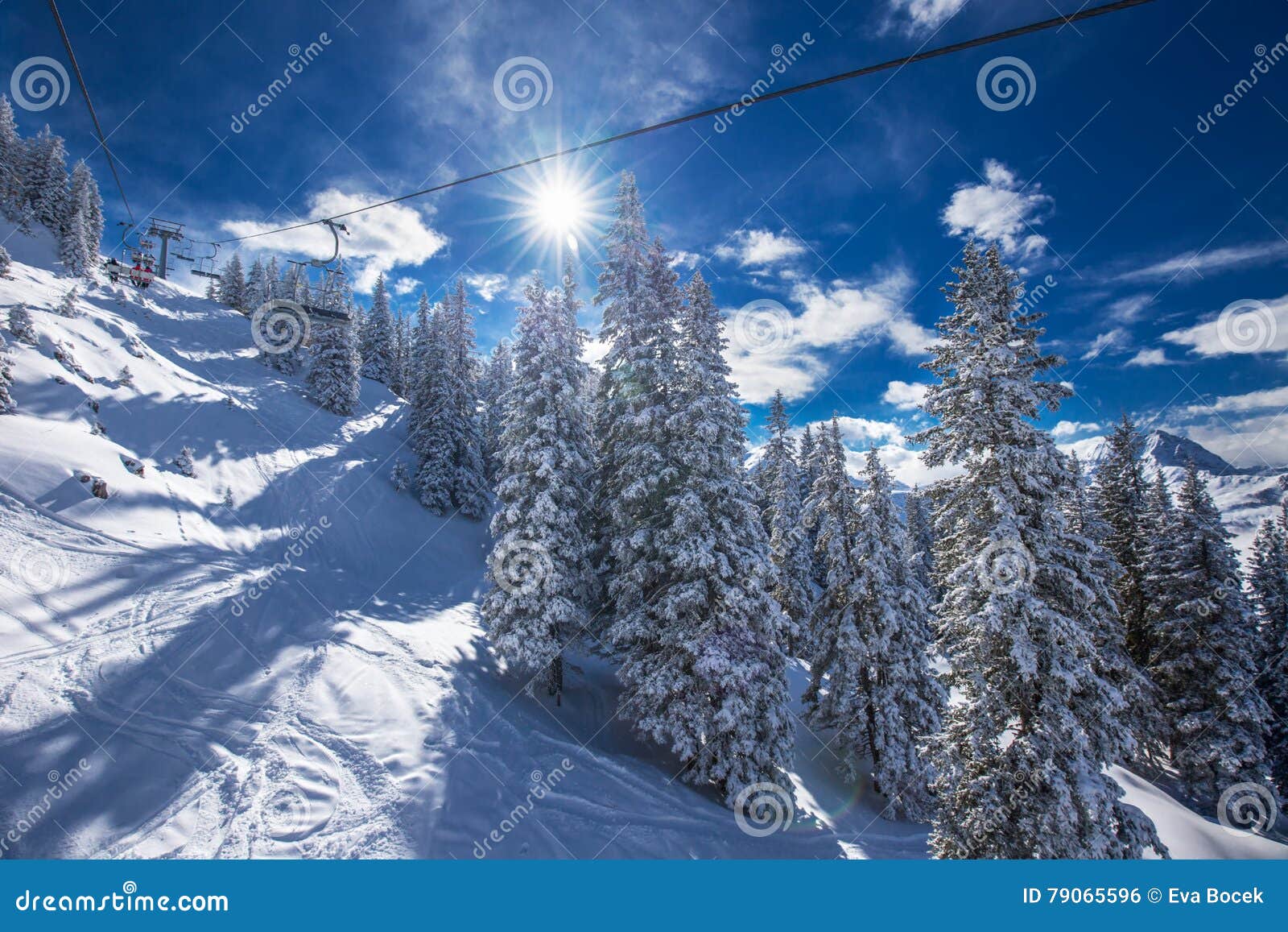 trees covered by fresh snow in tyrolian alps, kitzbuehel, austria