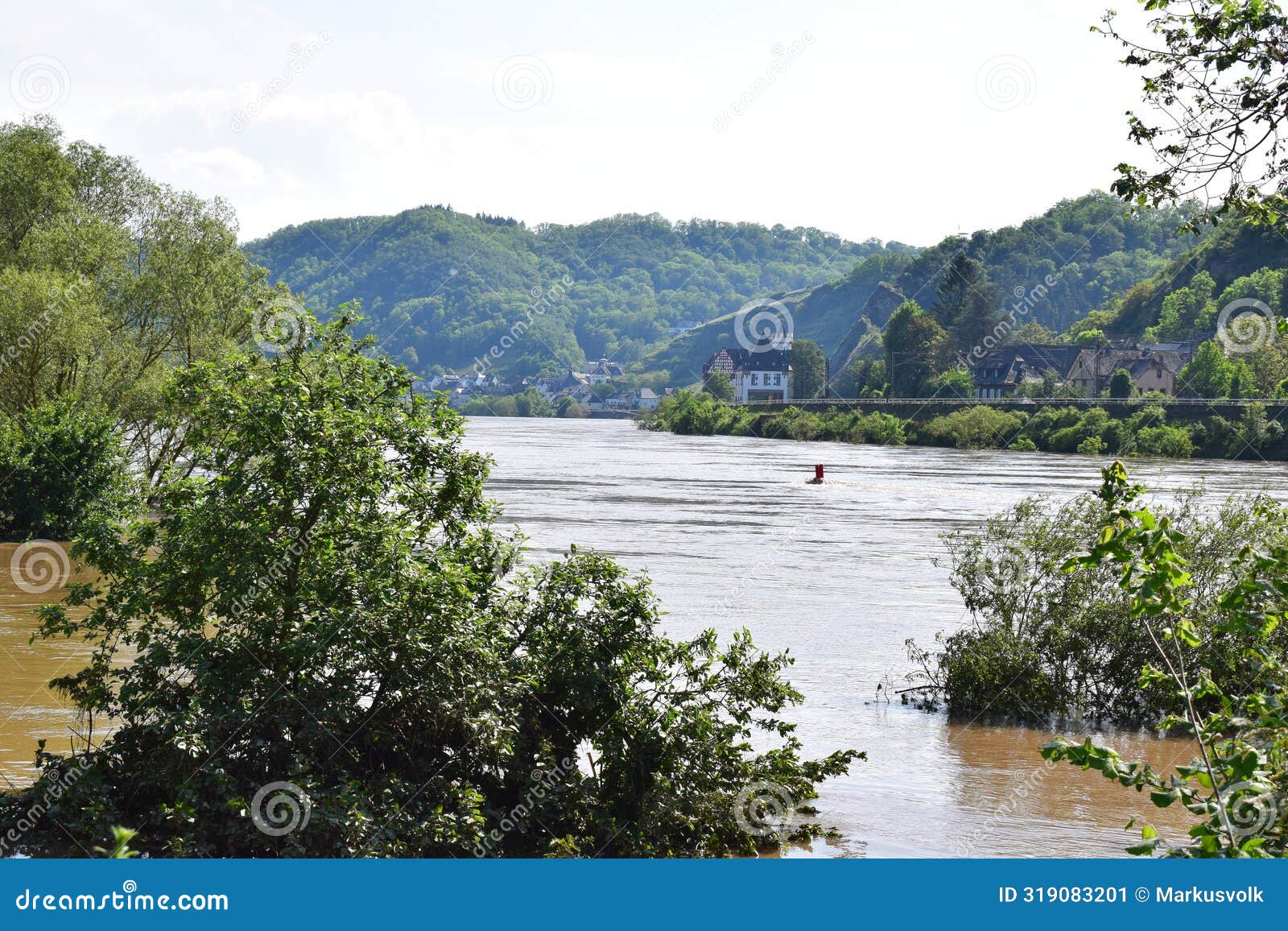 trees deep in the muddy may flood with a view to oberburg