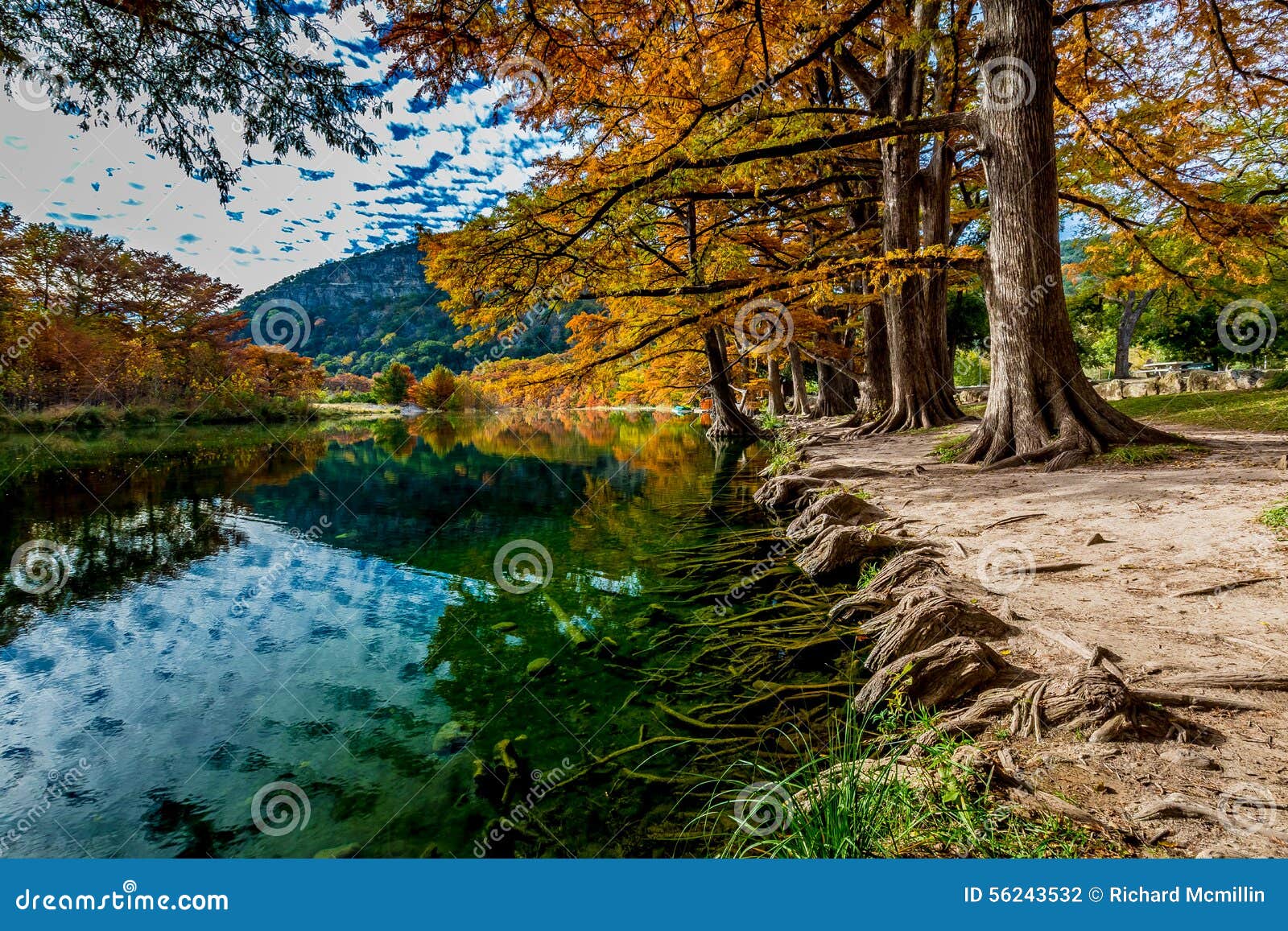 trees with fall foliage lining the frio river at garner state park