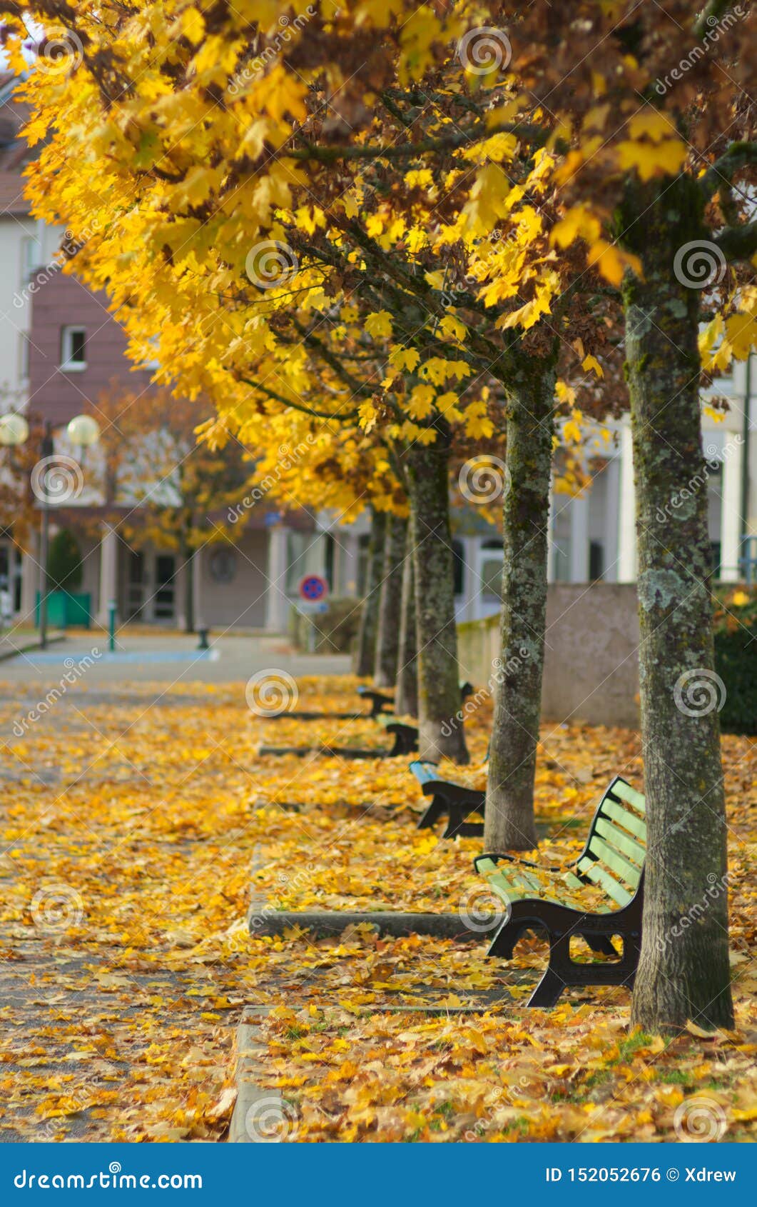 autumn scene in town