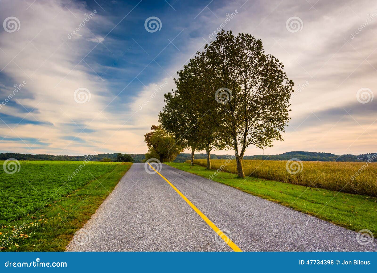 Trees and Fields Along a Road in Rural York County, Pennsylvania Stock Photo Image of color