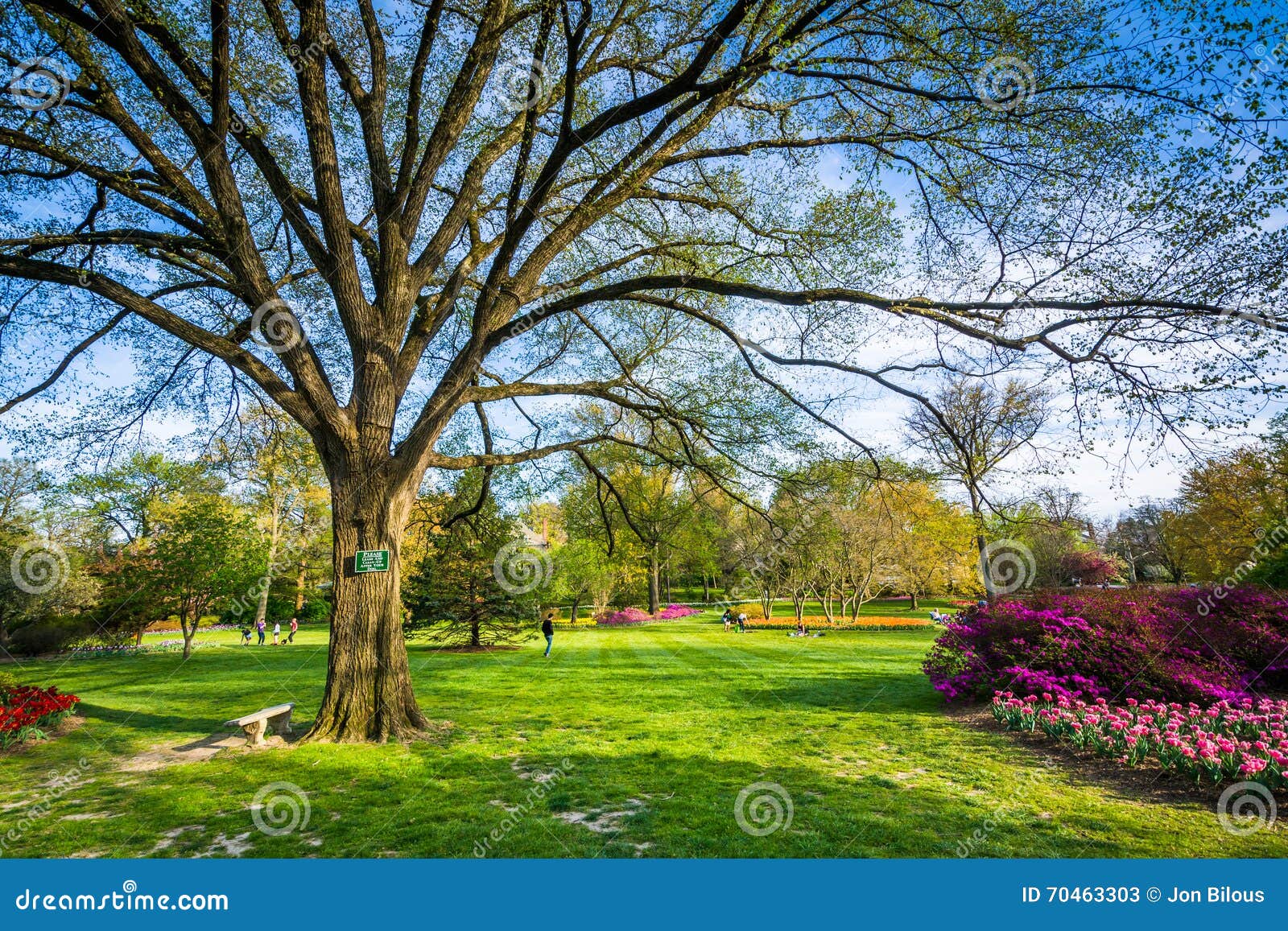 Trees And Flowers At Sherwood Gardens Park In Baltimore Maryland