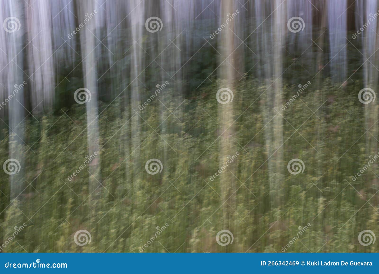 trees in the forest, icm, intentional camera movement