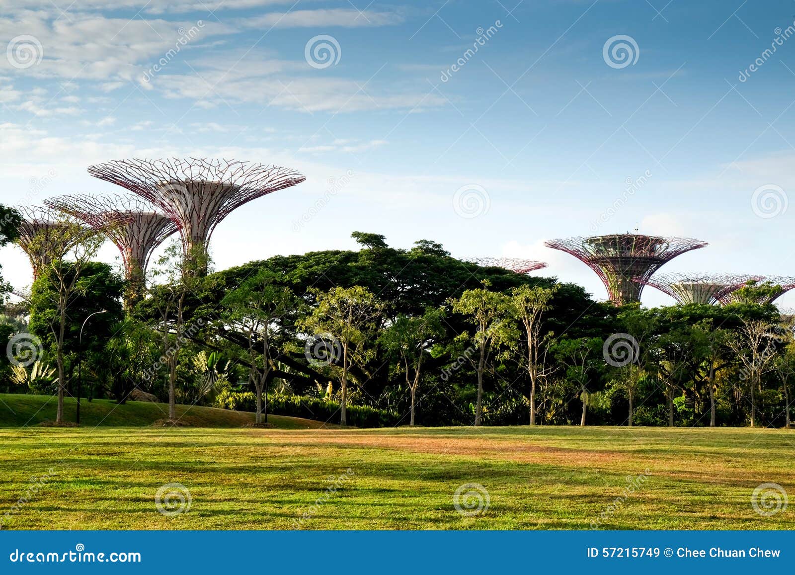 Trees at Gardens by the Bay Editorial Stock Image Image of trees