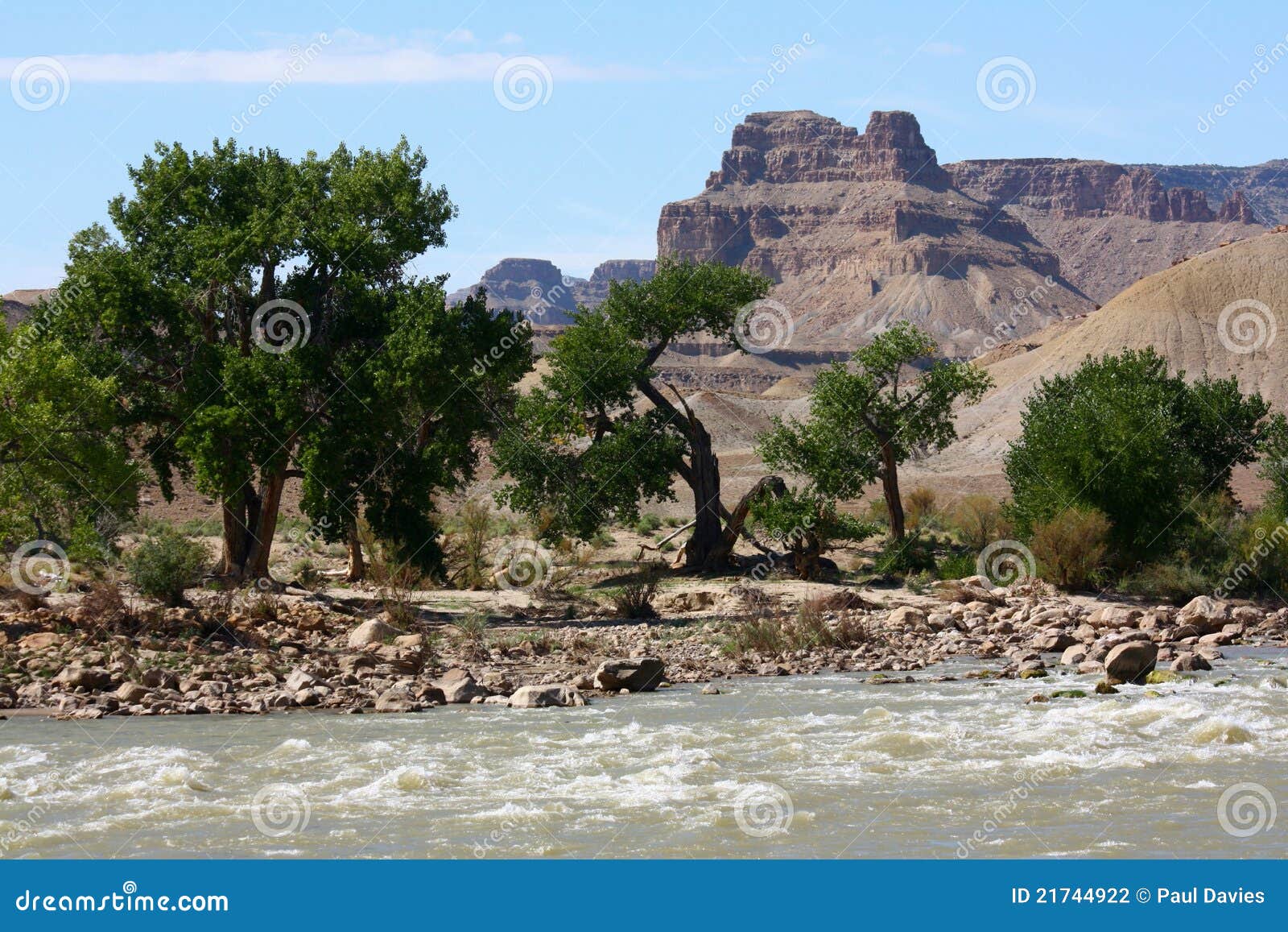 Trees by the Green River, Utah Stock Photo Image of america, river
