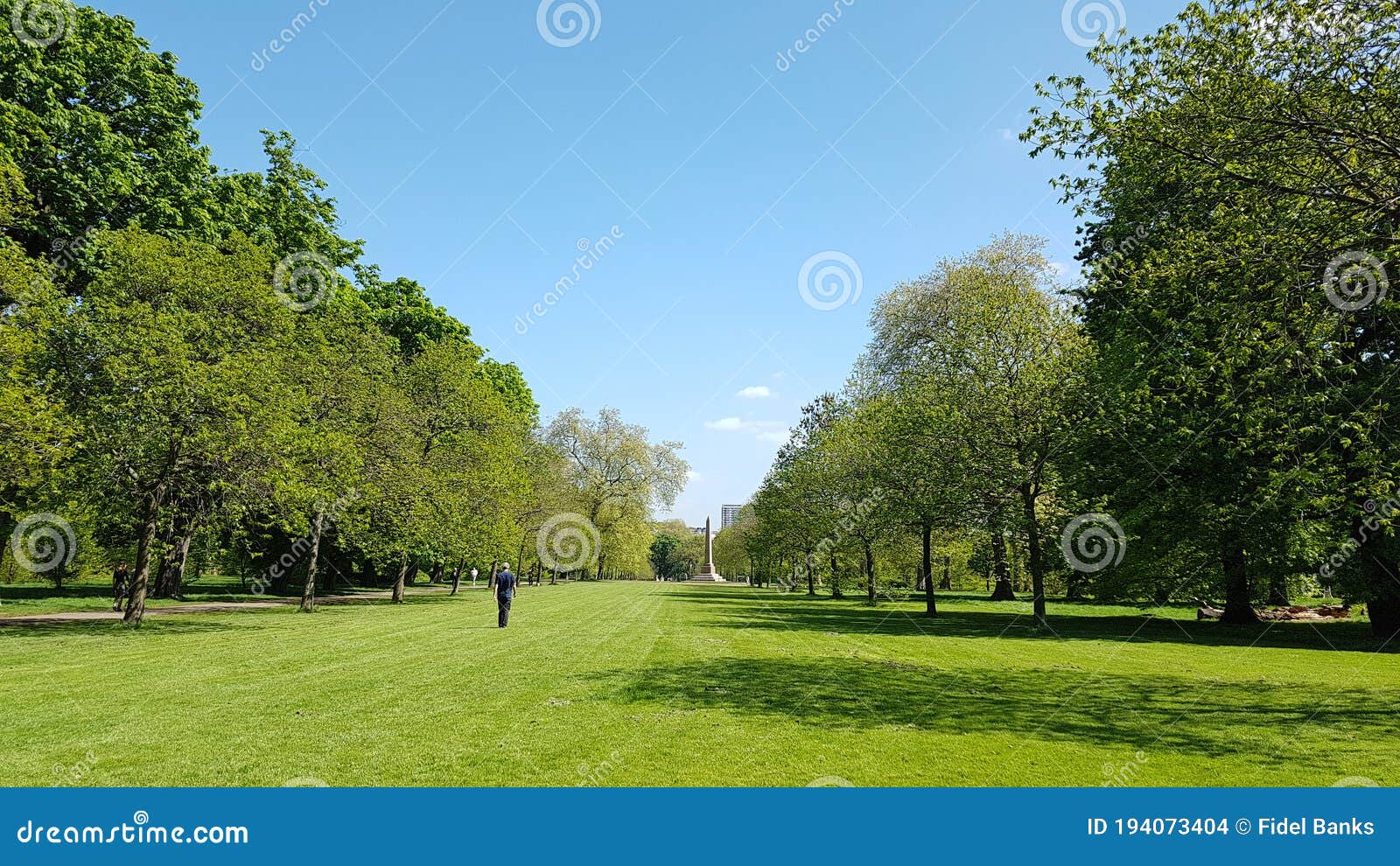 Trees in Greens Kensington Gardens Stock Photo - Image of garden ...