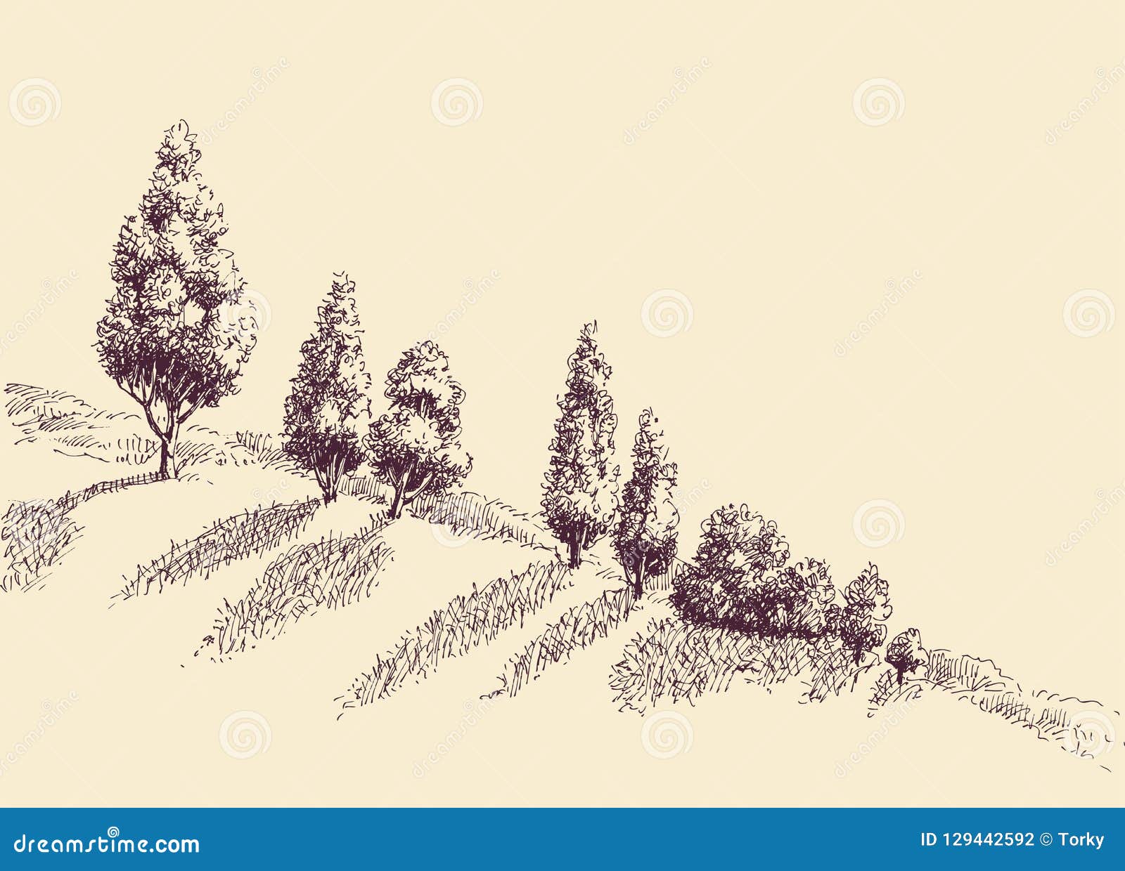 trees growing on a hill slope sketch