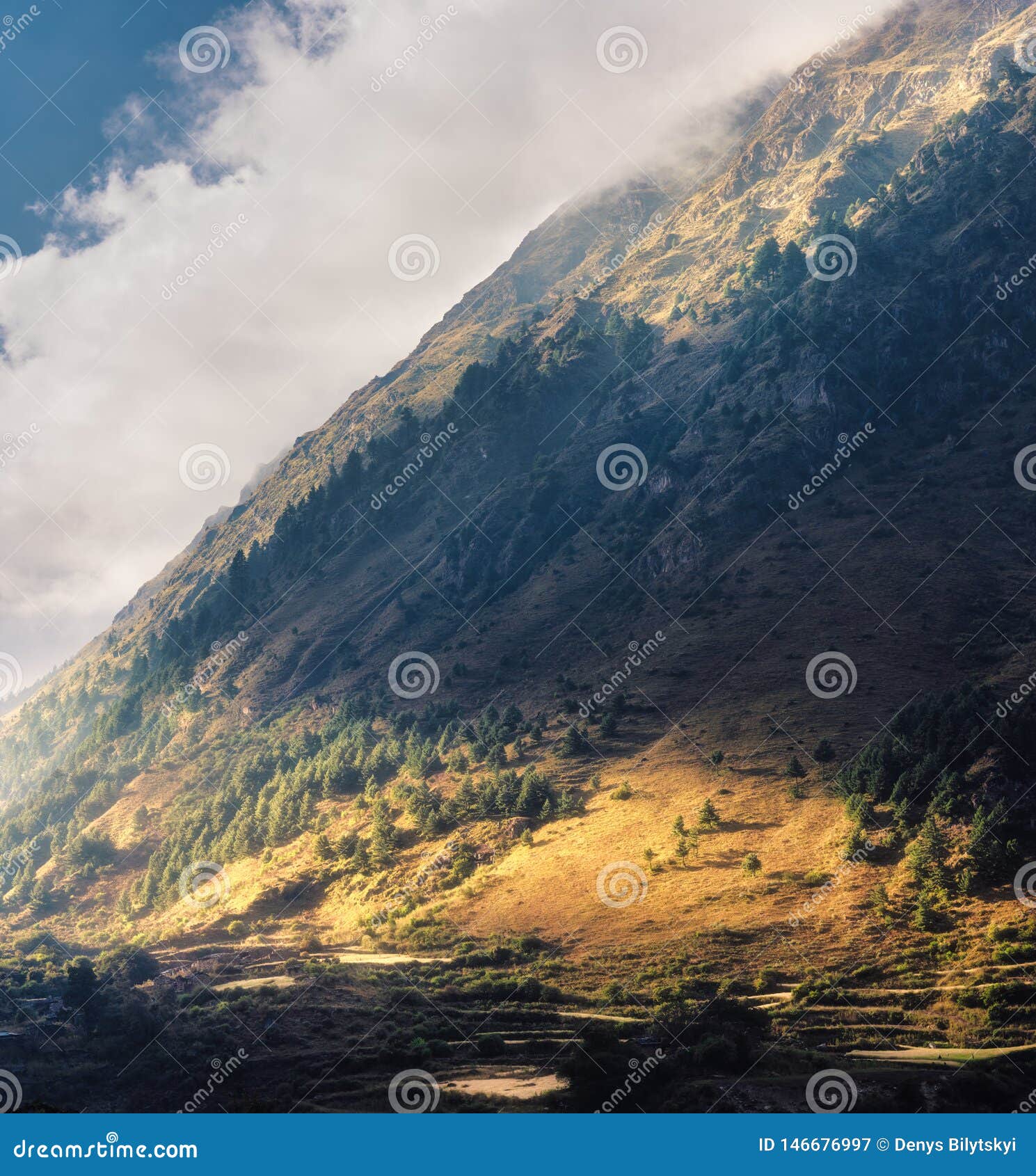 Trees On The Hill Lighted By A Sunbeam At Sunset In Summer Stock Image