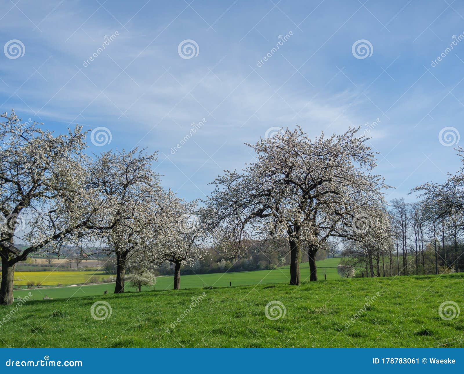 spring time in the german muensterland