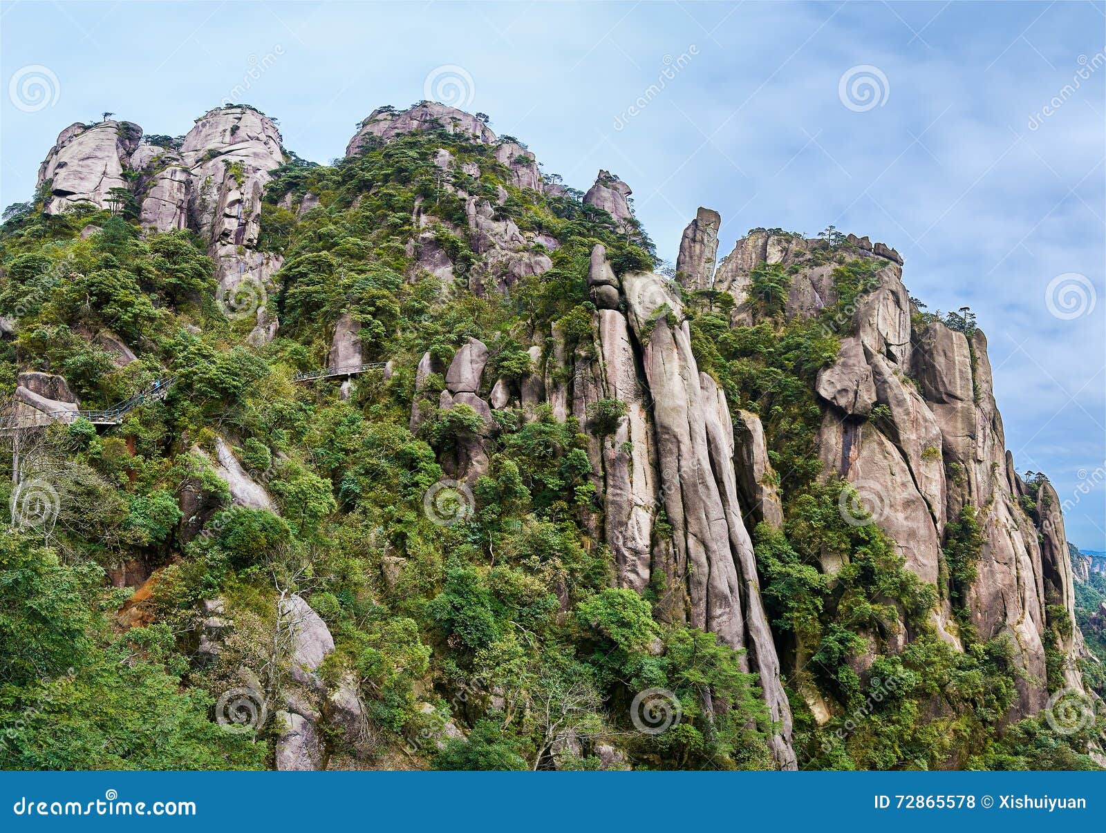 The trees on the peaks stock photo. Image of heritage - 72865578