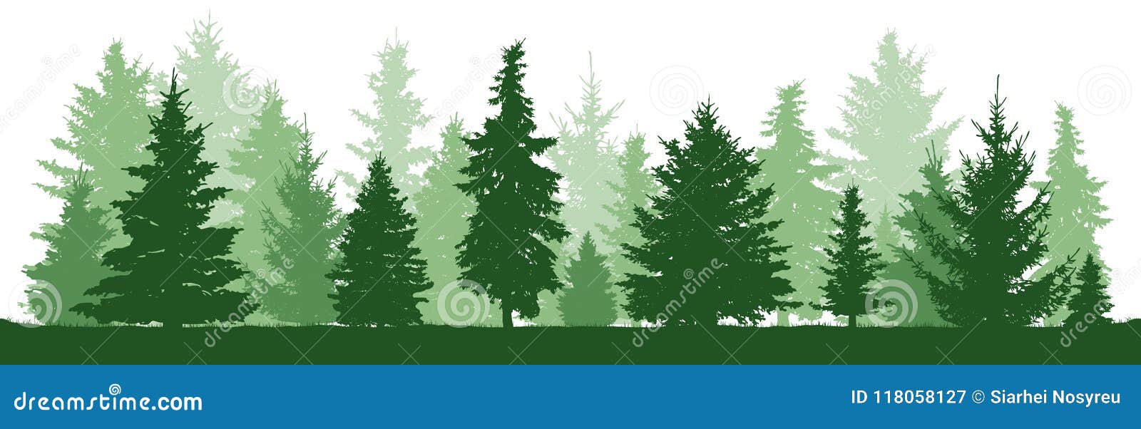 trees pine, fir, spruce, christmas tree. coniferous forest,  silhouette