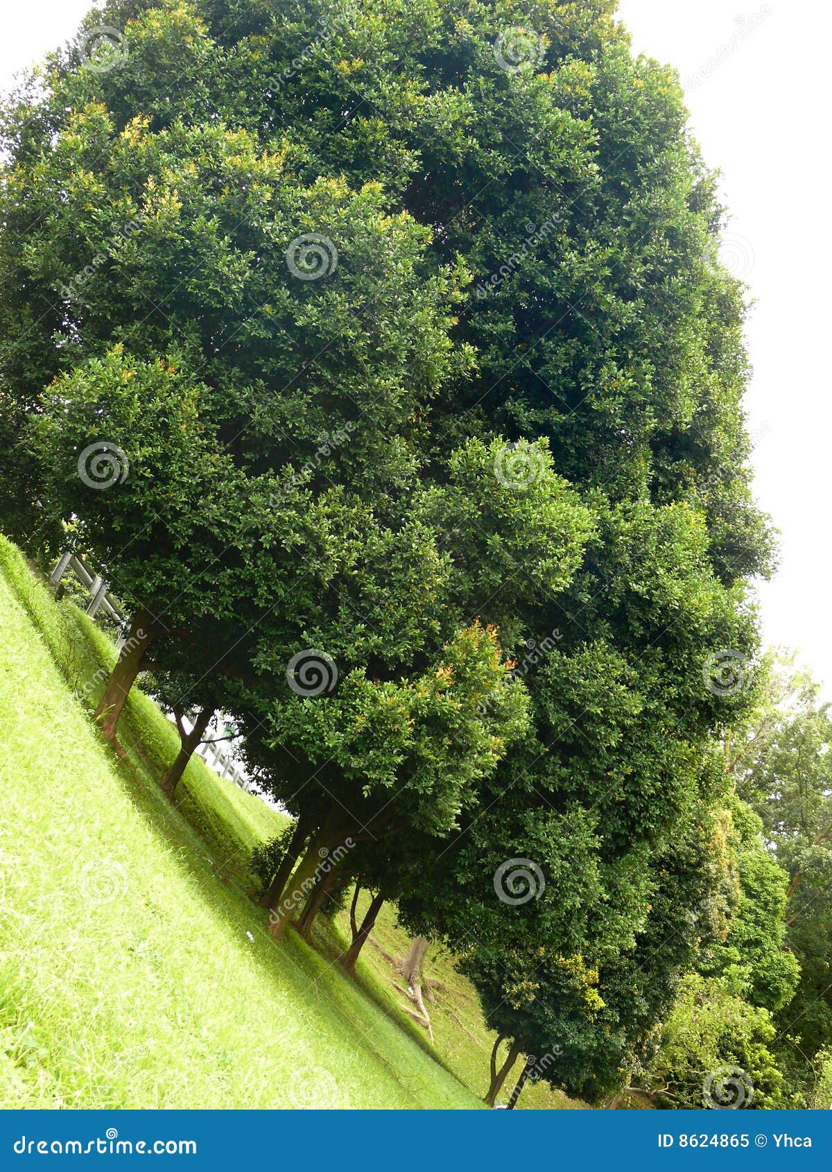 Steep slope hi-res stock photography and images - Alamy