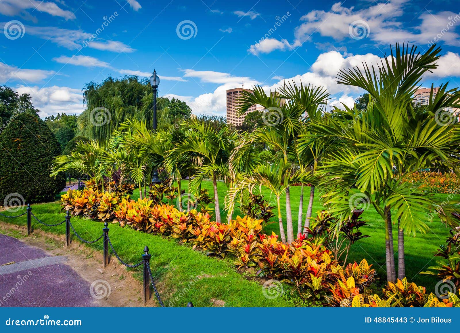 Trees and Plants Along a Path at the Public Garden in Boston, Ma Stock