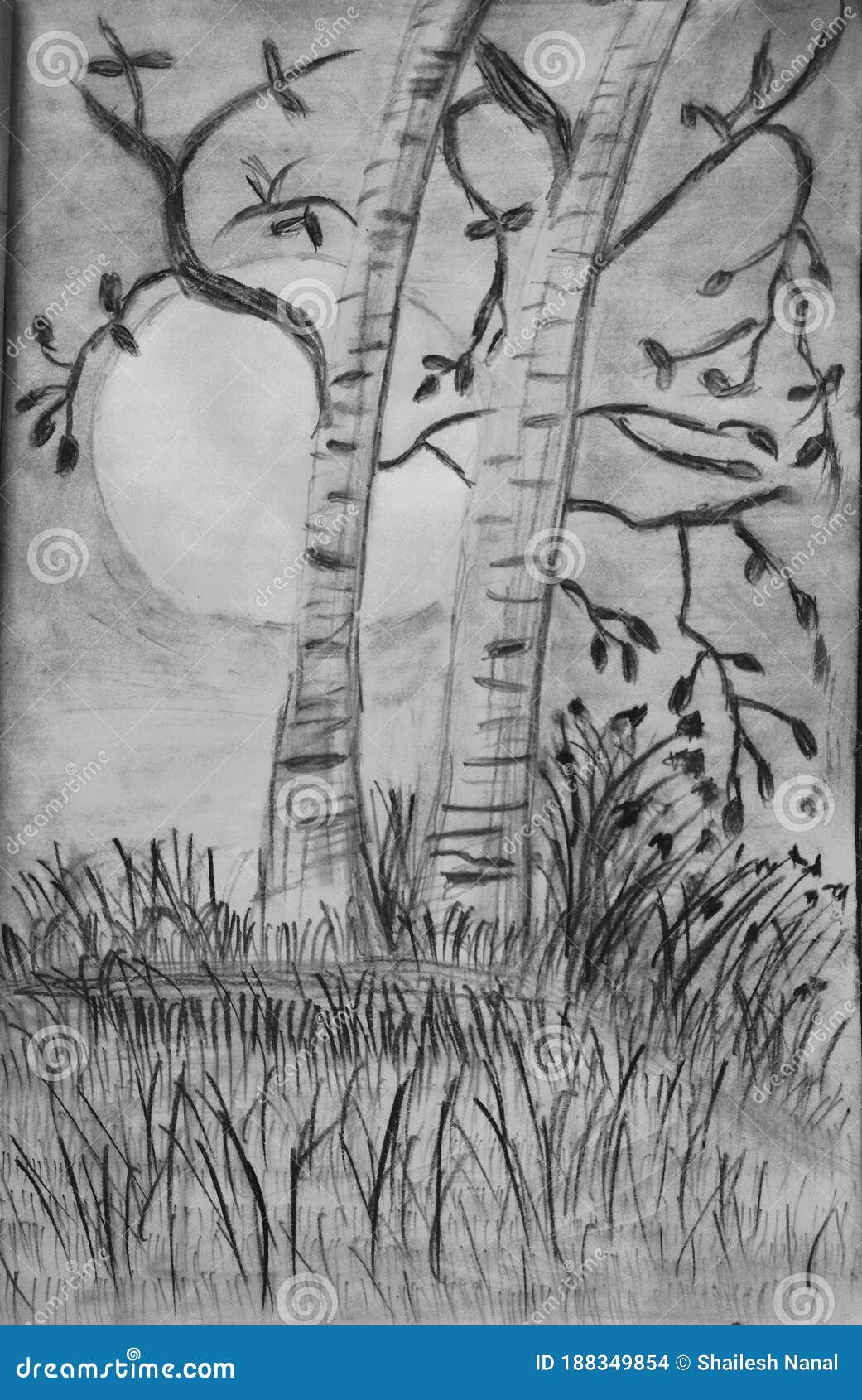 Easy Nature Drawing | Pencil sketch of Scenery | Nature drawing, Easy  nature drawings, Drawing scenery
