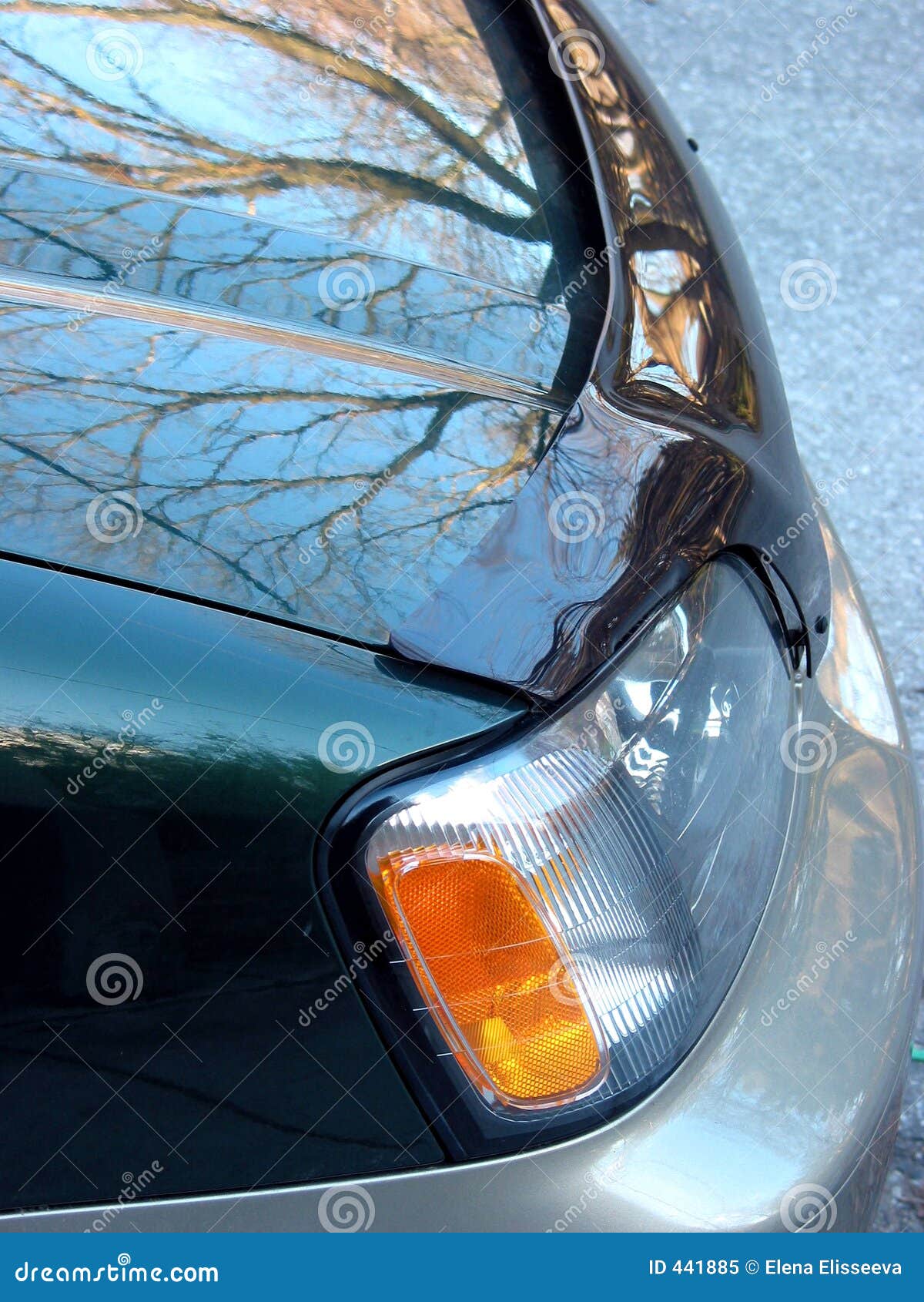 Trees Reflected in Car Hood Stock Image Image of vehicle, cars 441885