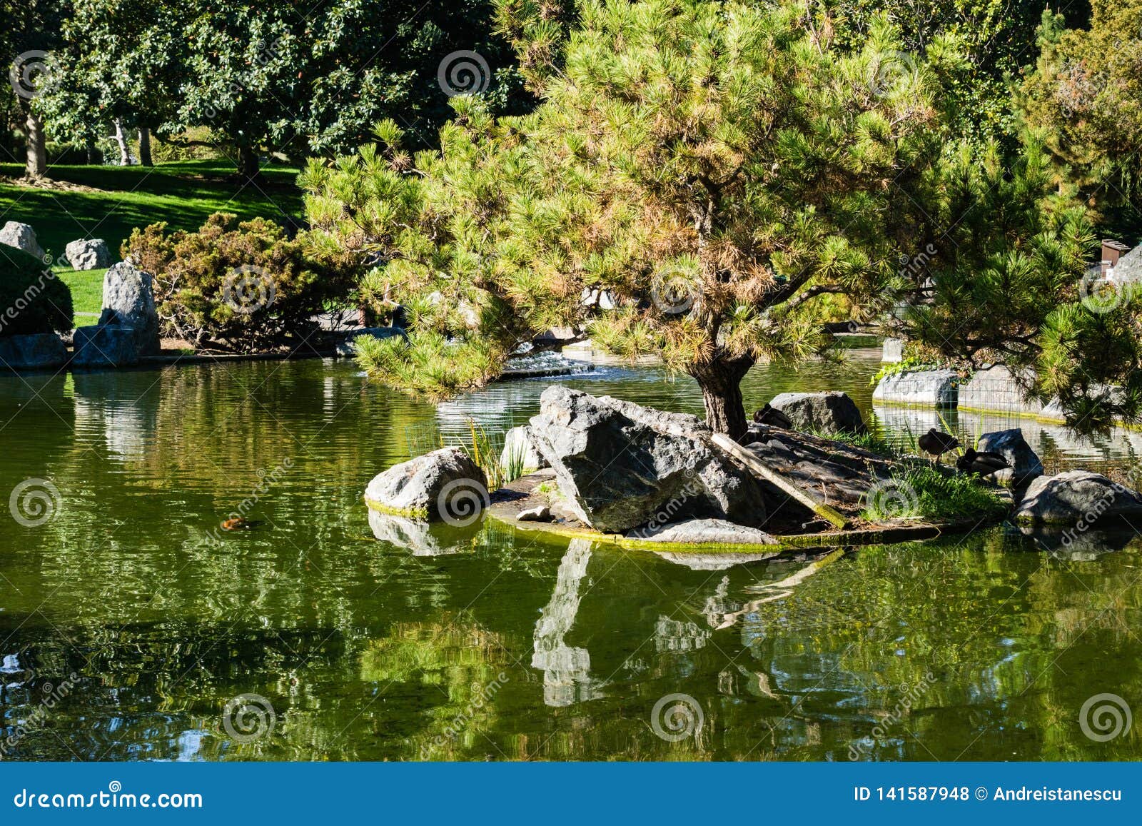 Trees Reflected In A Man Made Pond Japanese Friendship Garden