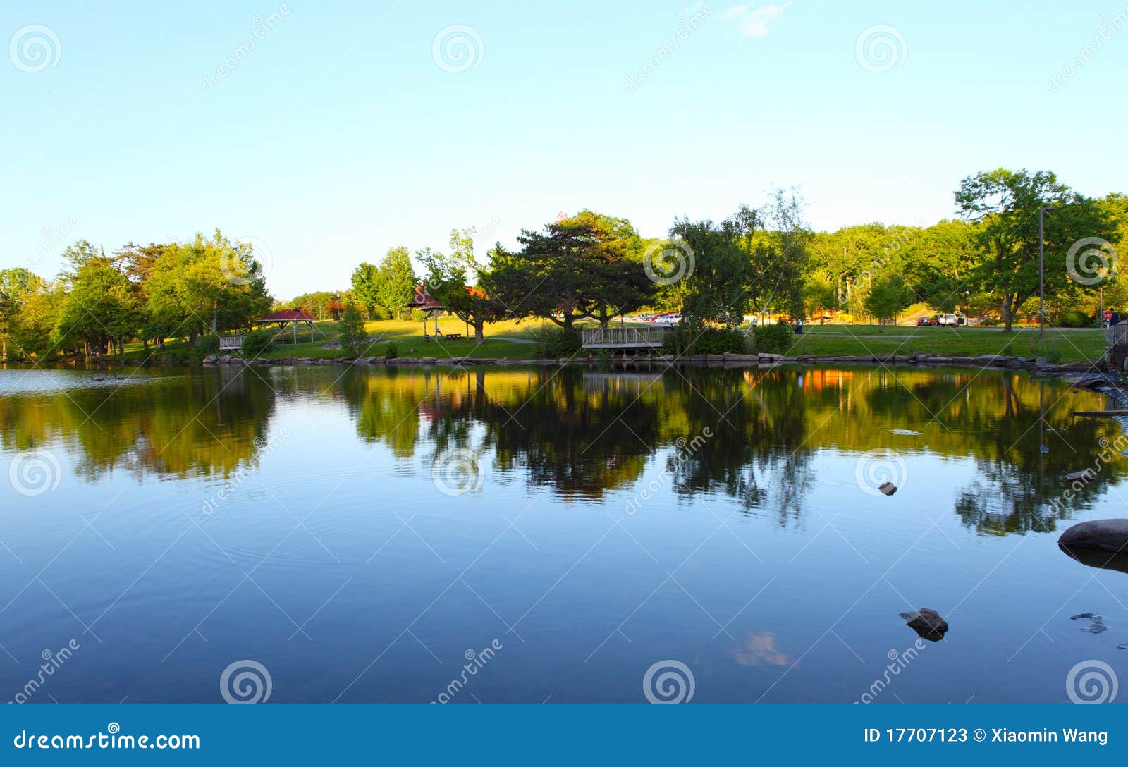 Trees and reflection. Trees calm water makes perfect tree reflections