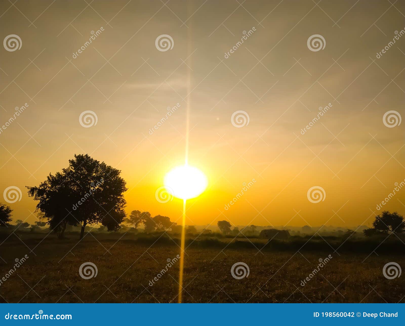 The Trees With The Rising Sun In The Empty Field Stock Photo Image Of Land Cloudscape