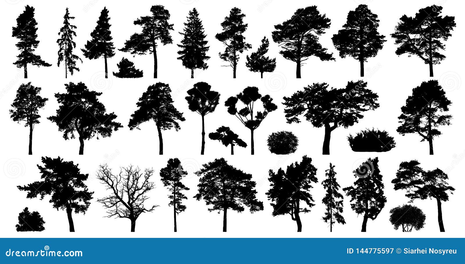 trees set  on white background. coniferous forest silhouette