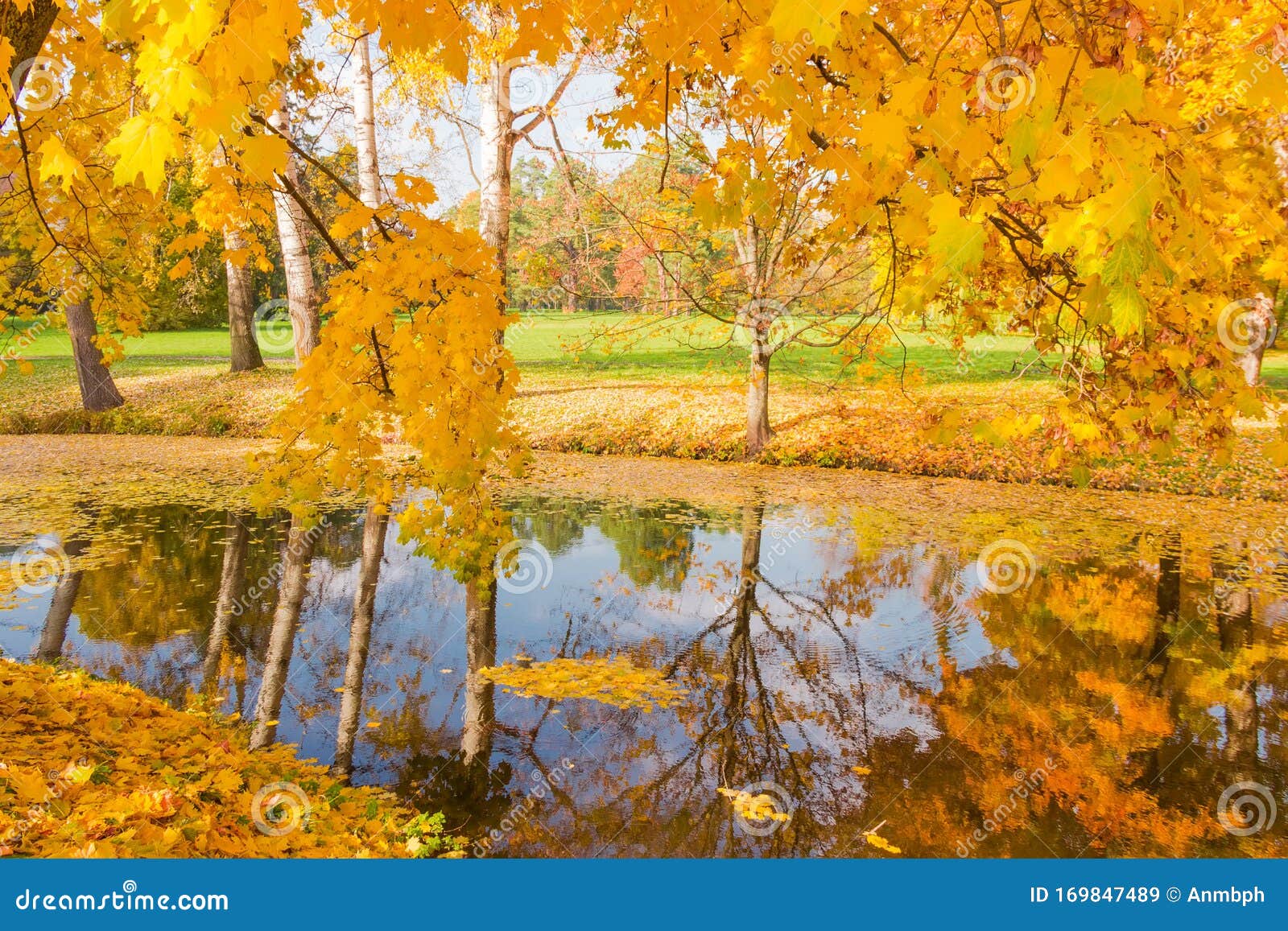 Trees on Shores of Small Lake in Autumn Park Stock Image - Image of ...