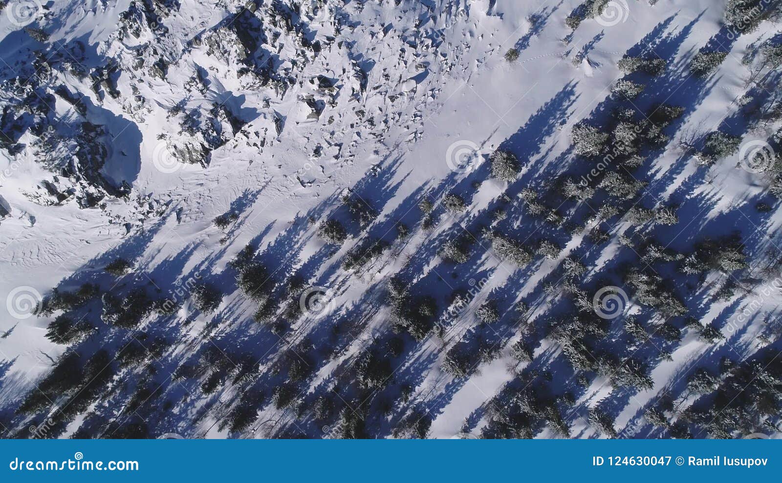 trees-stones-casting-shadows-snow-covere