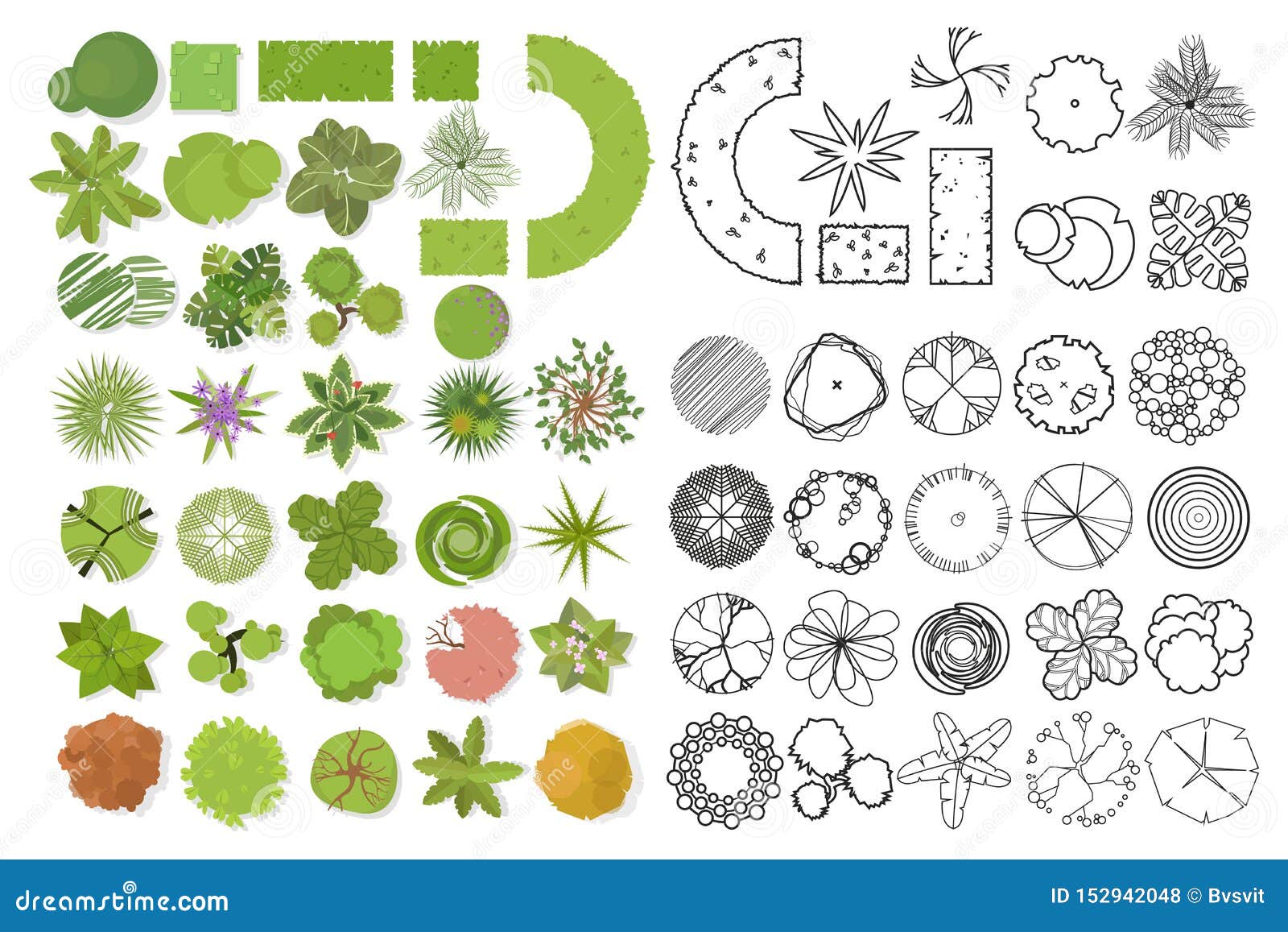 trees top view. different trees, plants  set for architectural or landscape . set of linear and color flat  illustrati