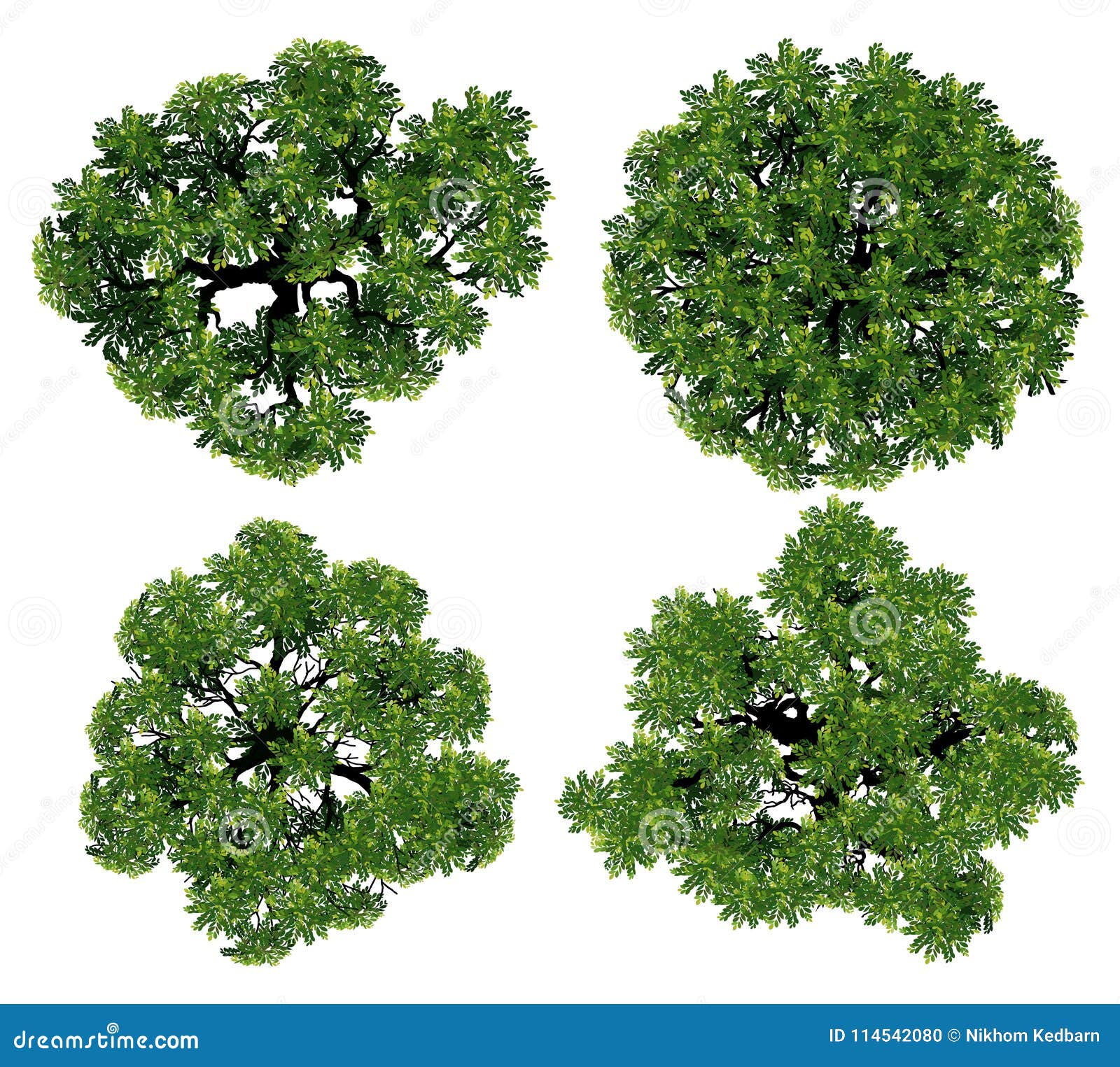 Trees Top View for Landscape Vector Illustration. Stock Vector