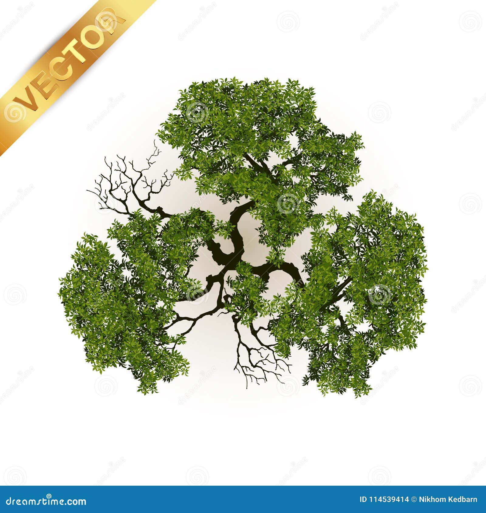 trees top view for landscape  .