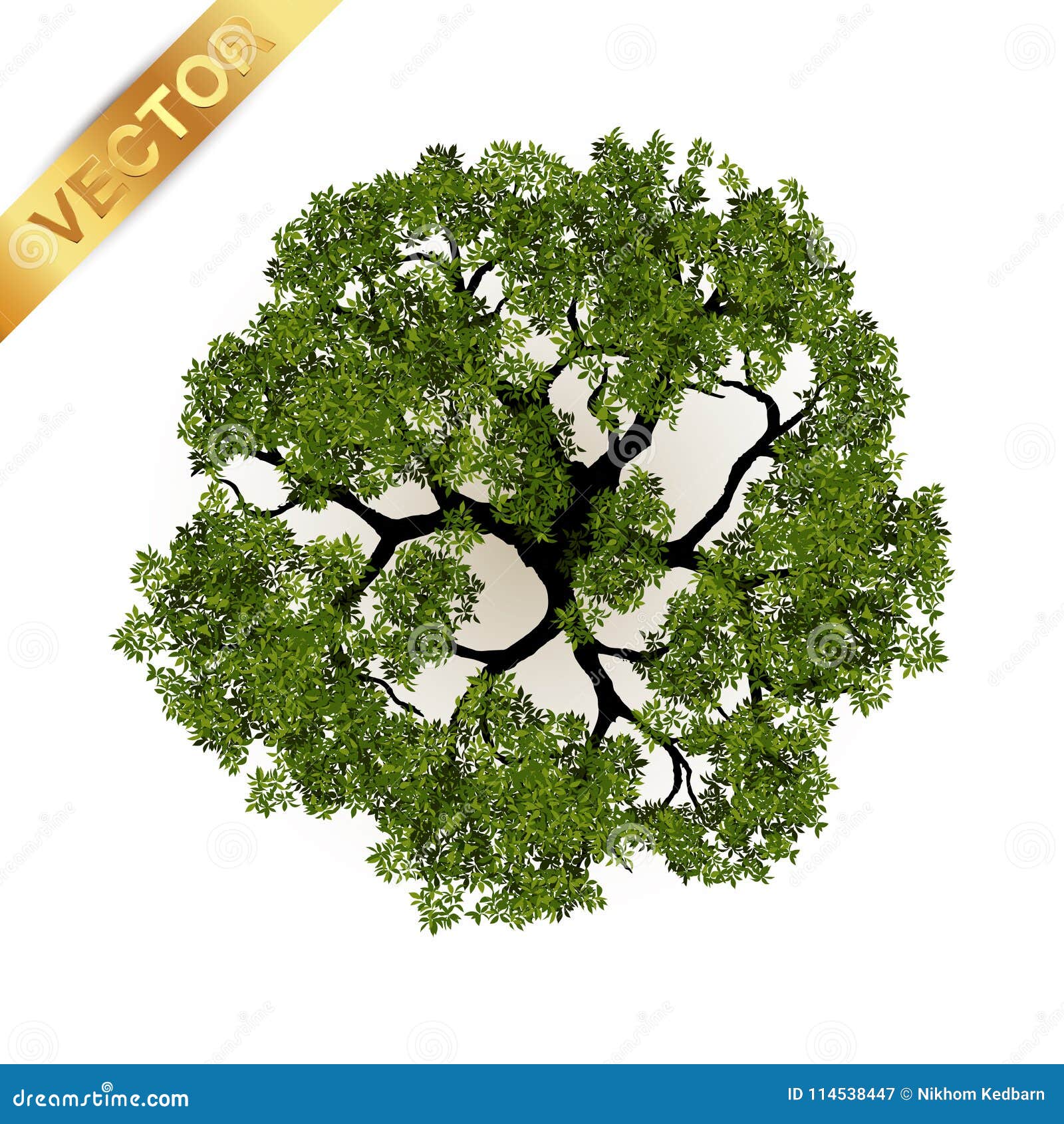 trees top view for landscape  .