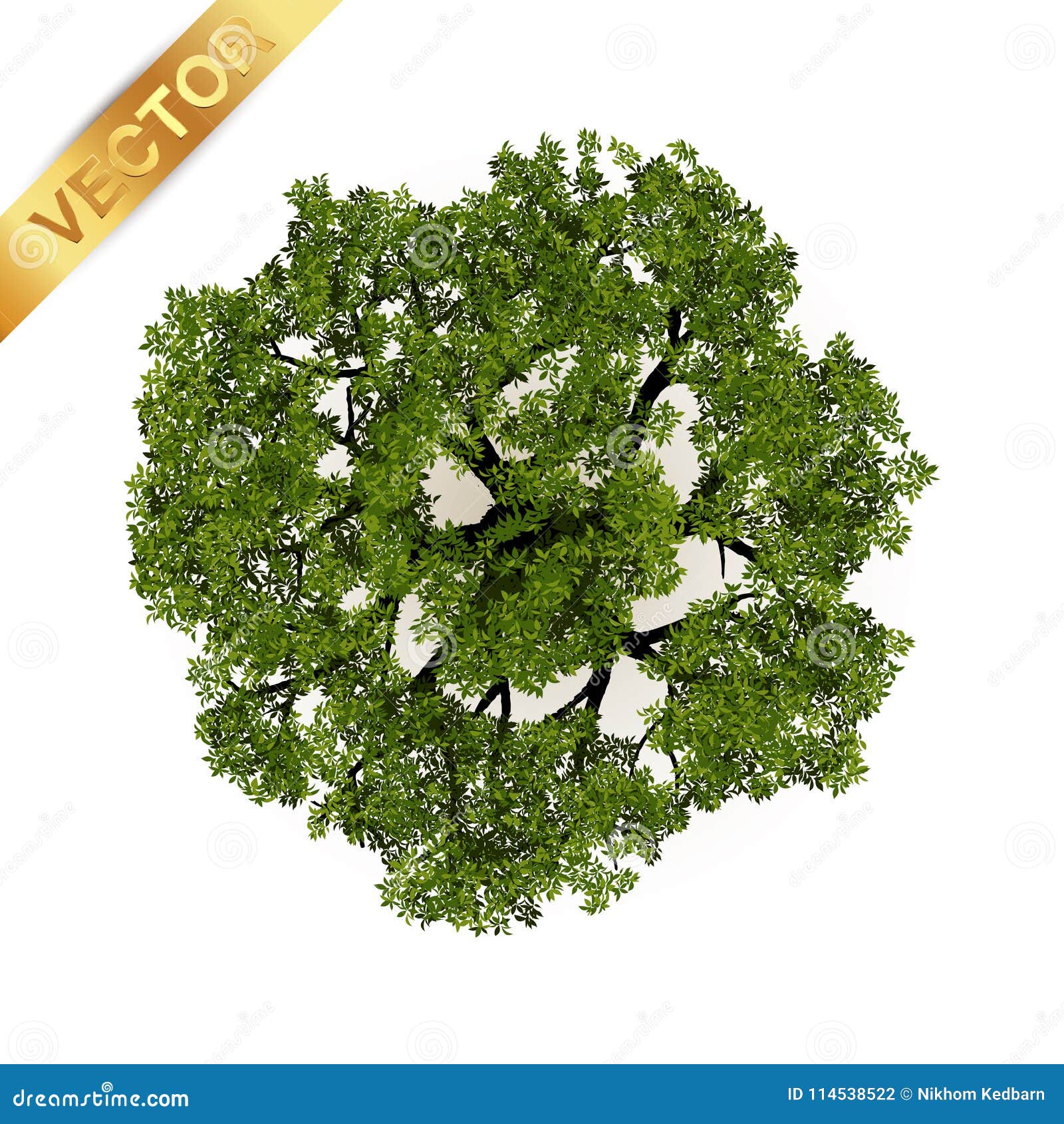 trees top view for landscape  .
