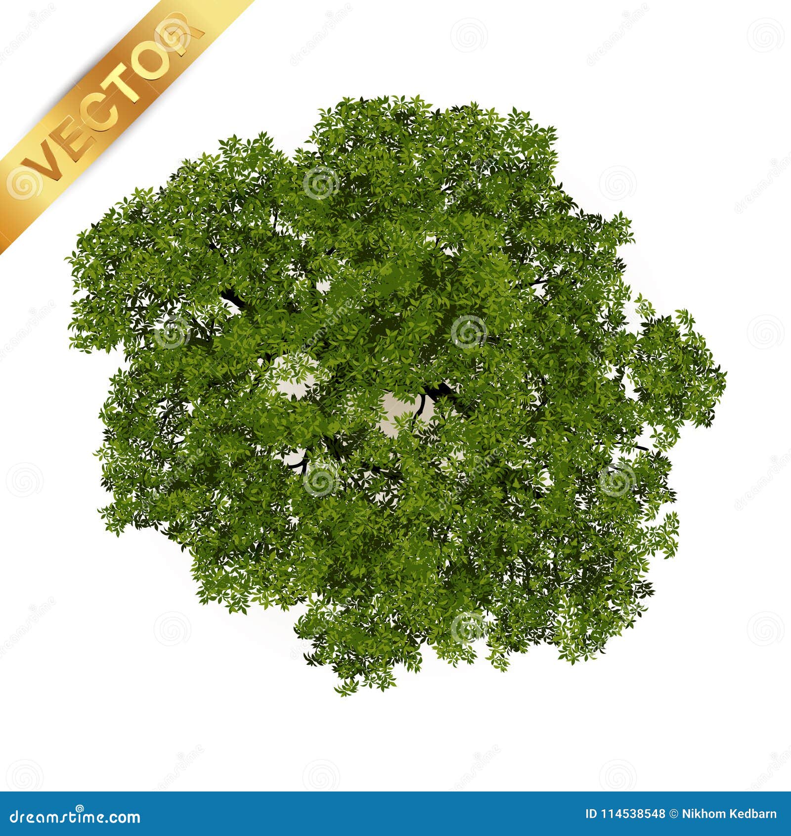 trees top view for landscape  .