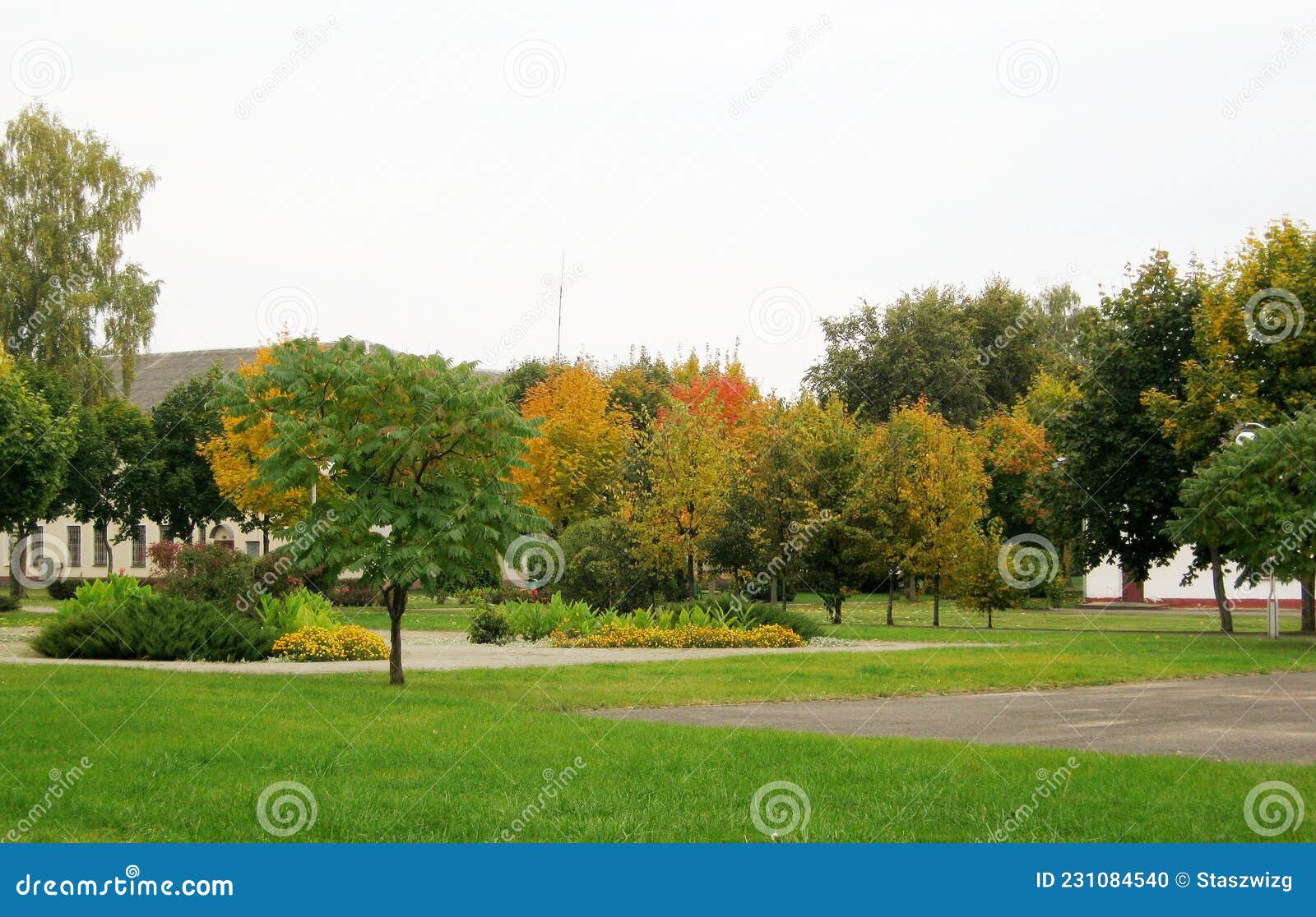 Autumn Landscape In The Park With Yellowing Trees Stock Photo Image