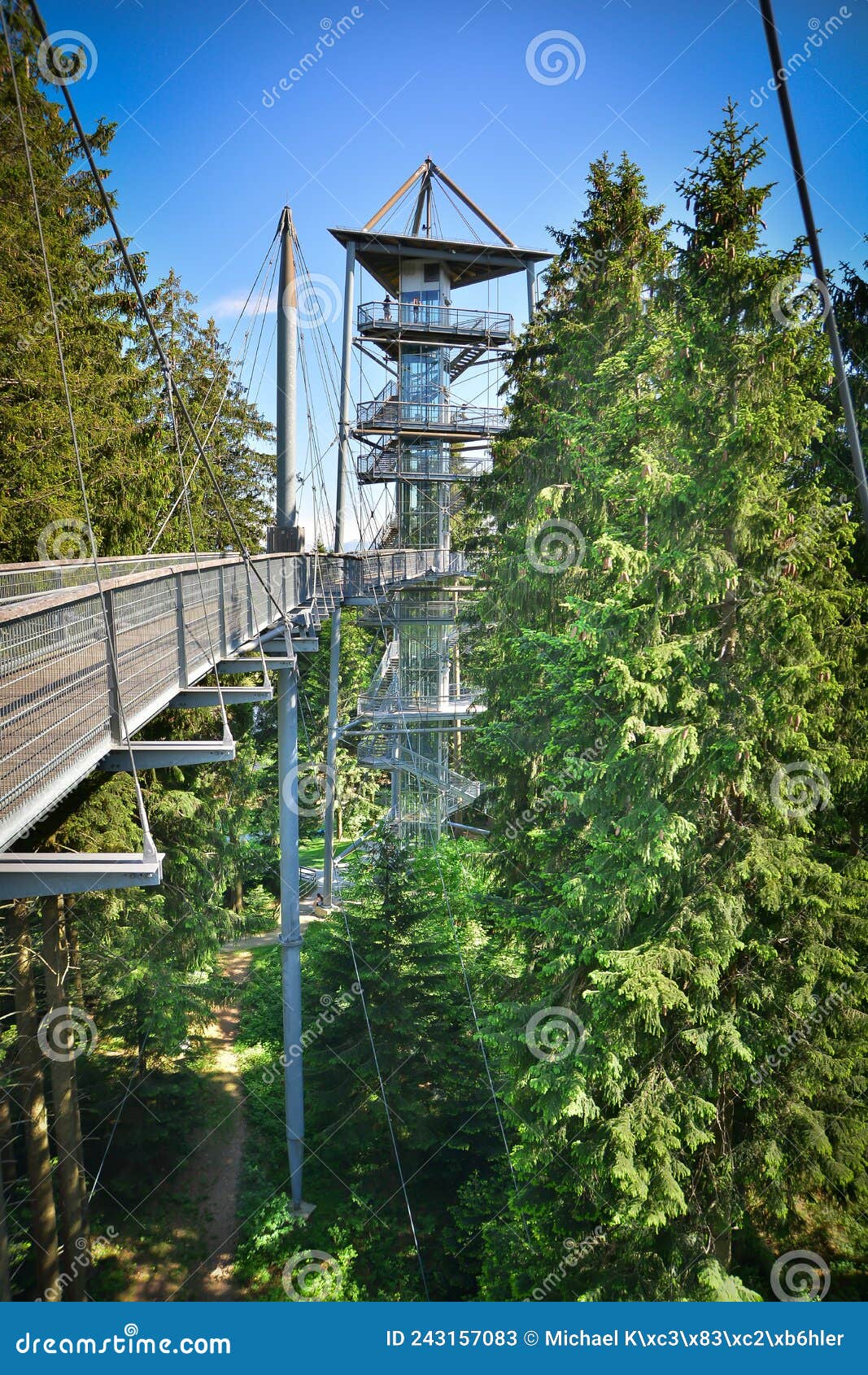treetop path trees lookout observation tower sunny