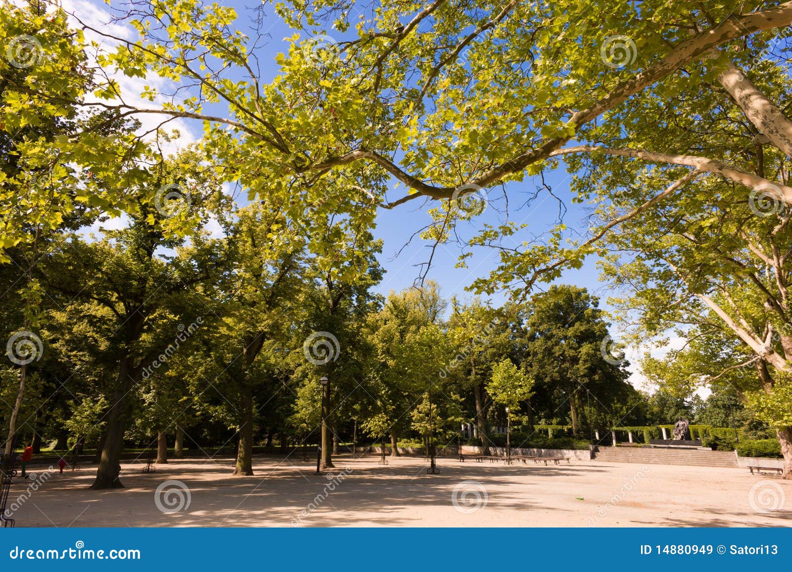 Treetops. время весны парка дня солнечное