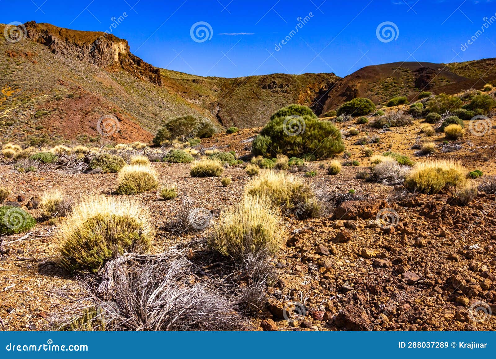 trek through las canadas national park, teide national park, tenerife, spain