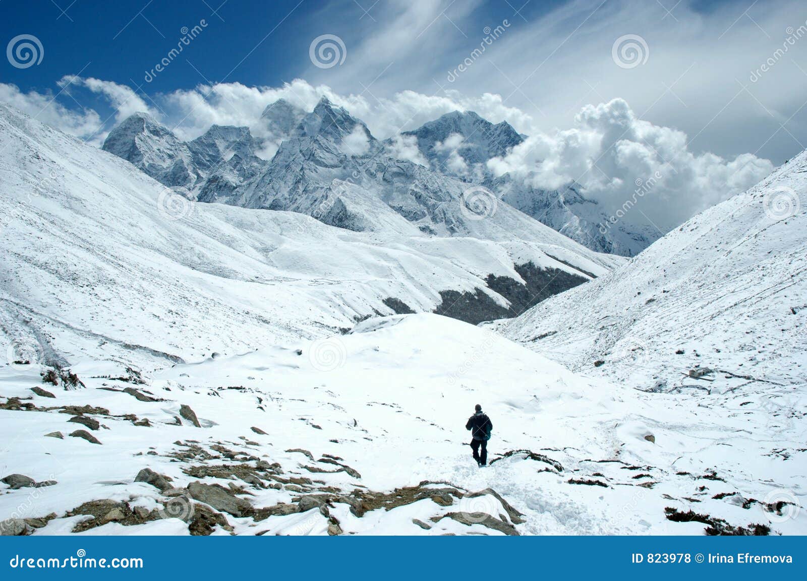 trekker in the himalaya