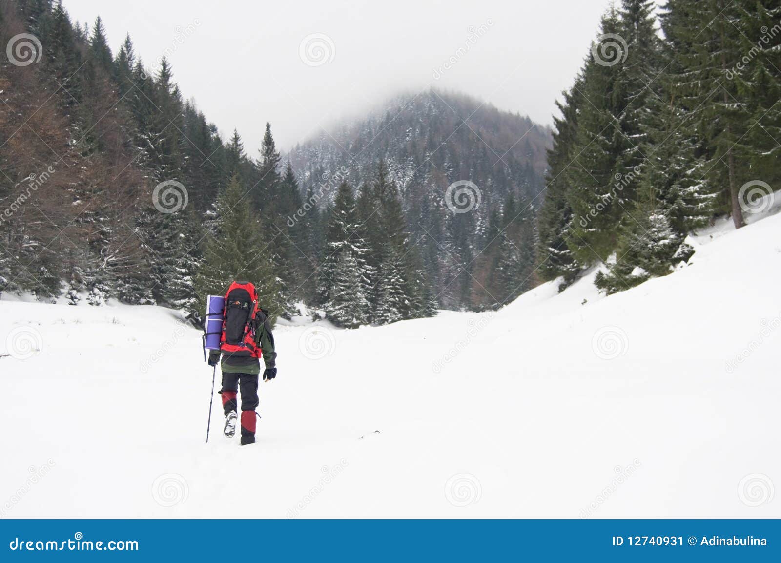 trekker in snow