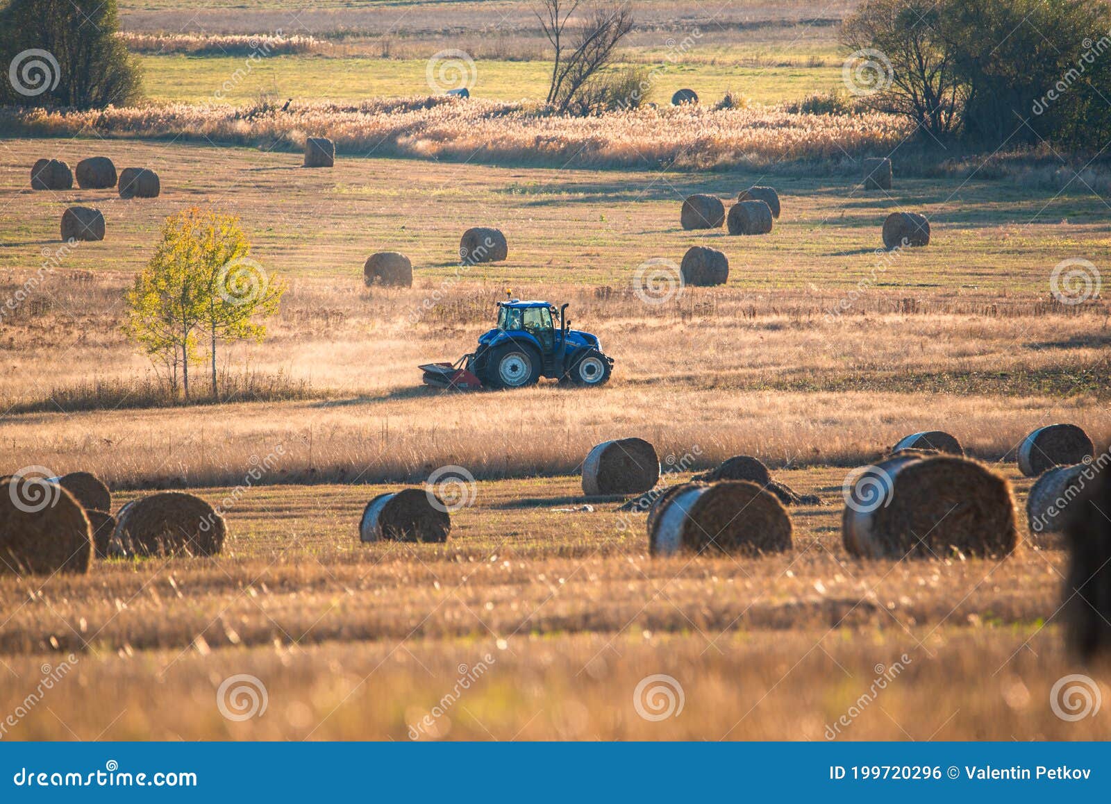 vervoer Grens Beweegt niet Trekkers Die Strobalen Verzamelen Zon Bulgarije Landbouw Minimale  Machinegewas Gouden Hooi Kleine Zoom Ver Weg Werkruimte Voor Kop Stock Foto  - Image of najaar, maaimachine: 199720296