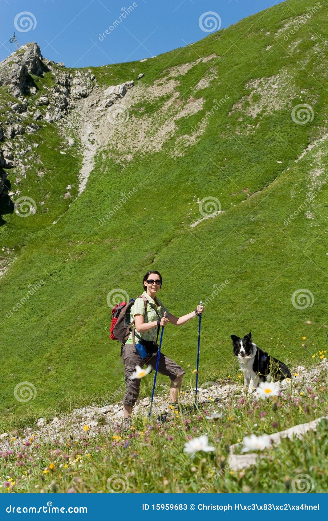 Trekking stock image. Image of trekking, bodercollie - 15959683