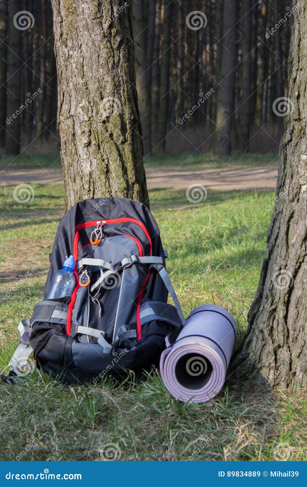 Trekking Heavy Backpack in Forest with Green Jars of Water. Stock Image Image of camping