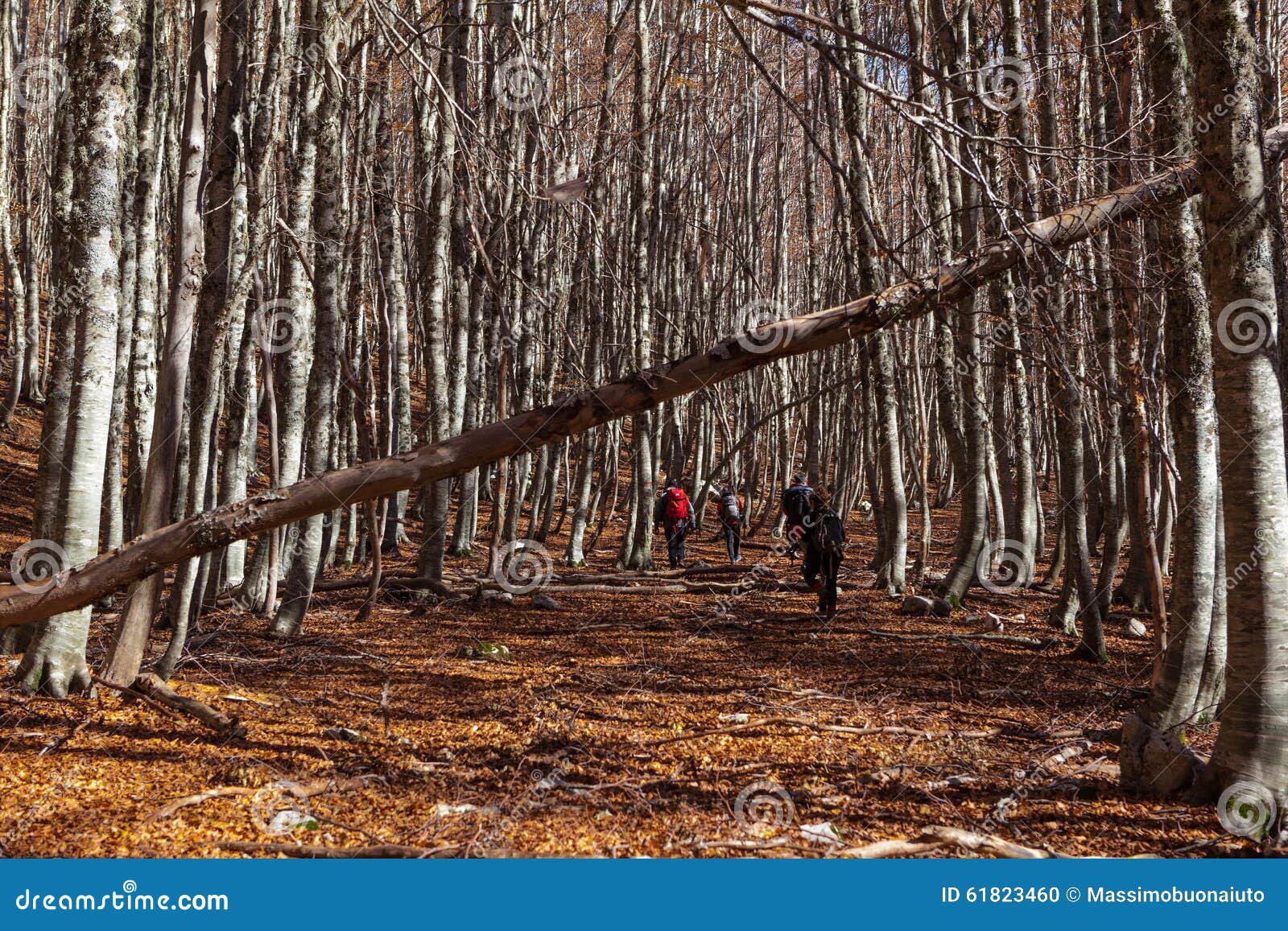 trekking parco nazionale d'abruzzo