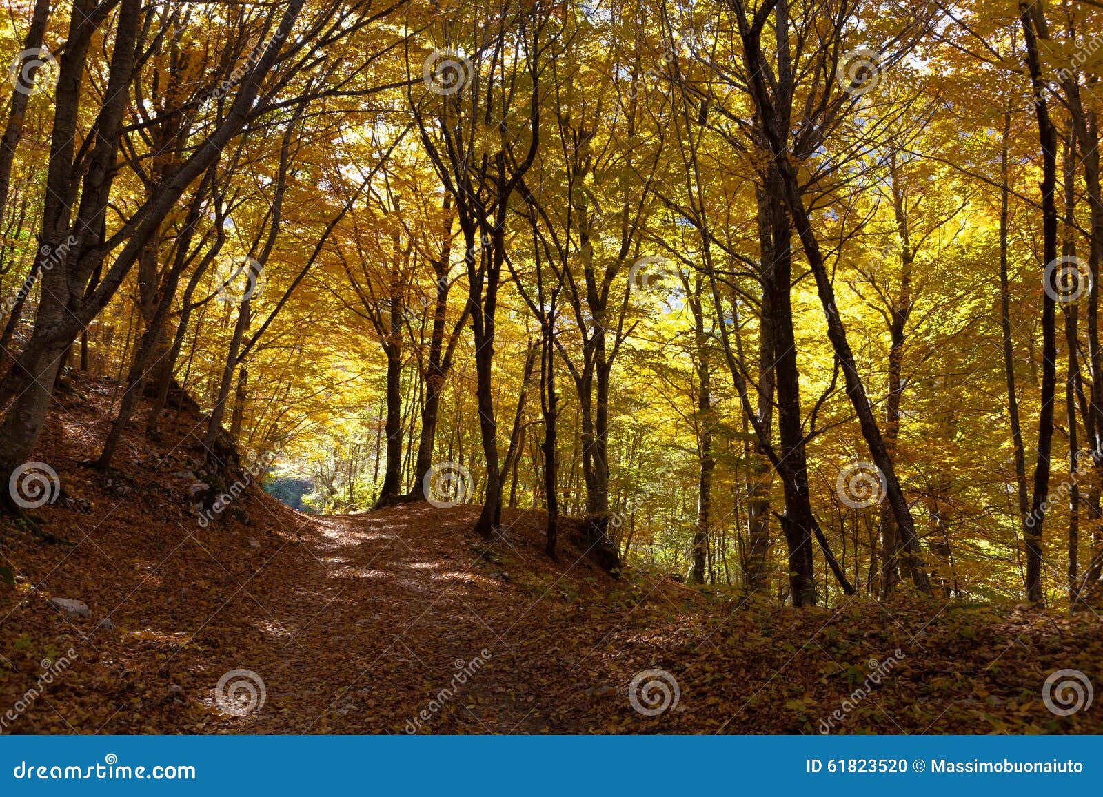 trekking parco nazionale d'abruzzo