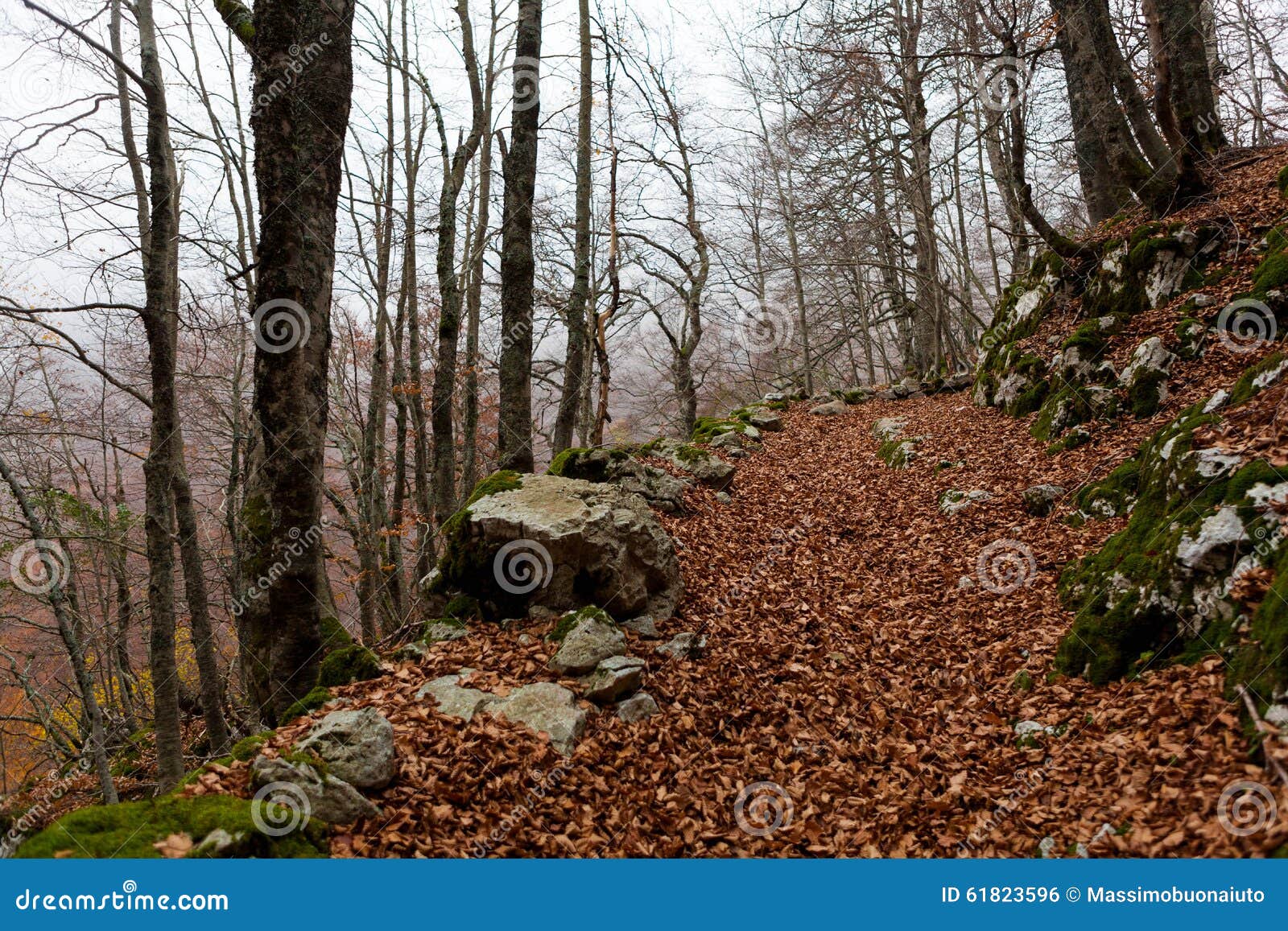 trekking parco nazionale d'abruzzo