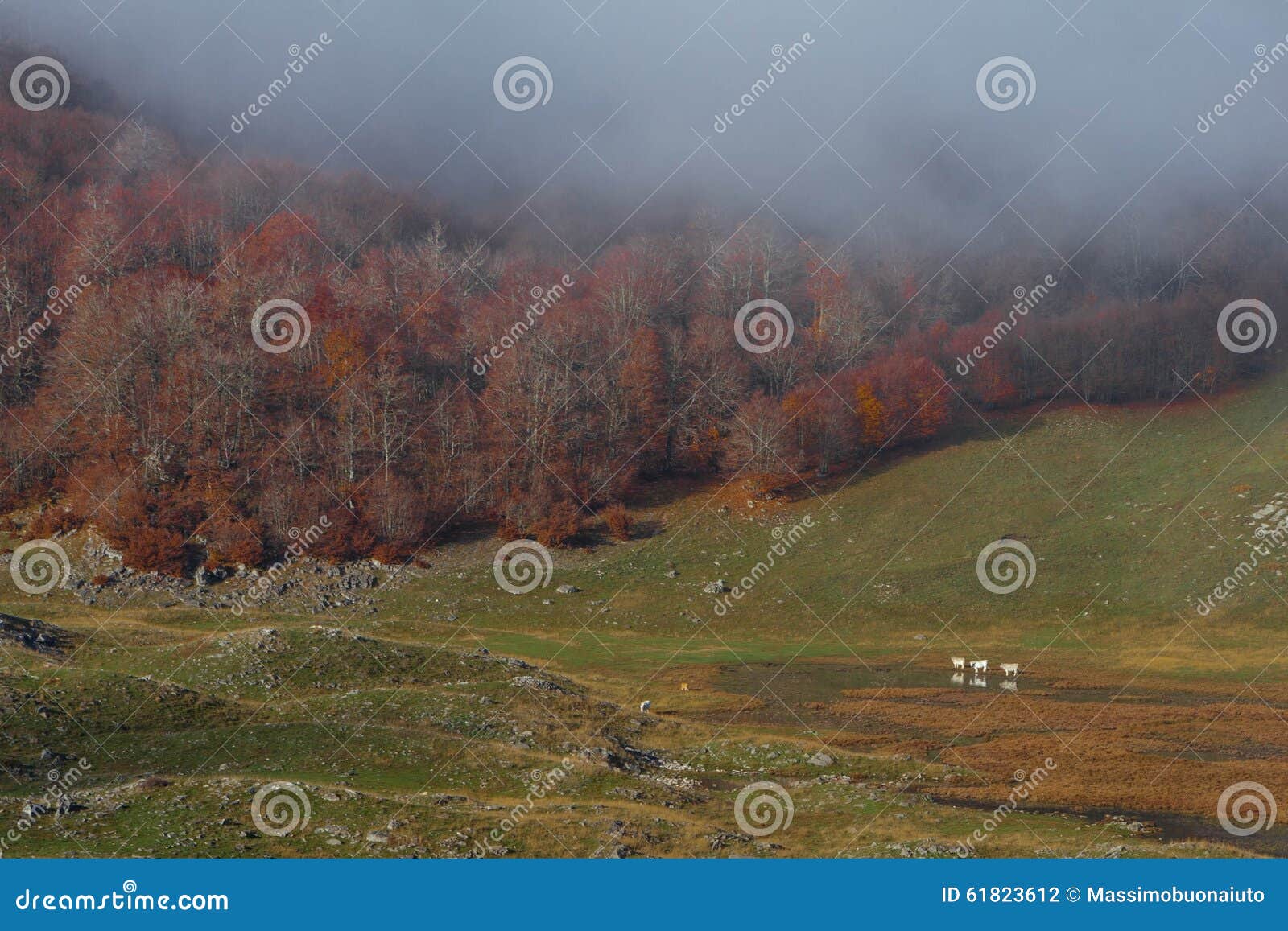 trekking parco nazionale d'abruzzo