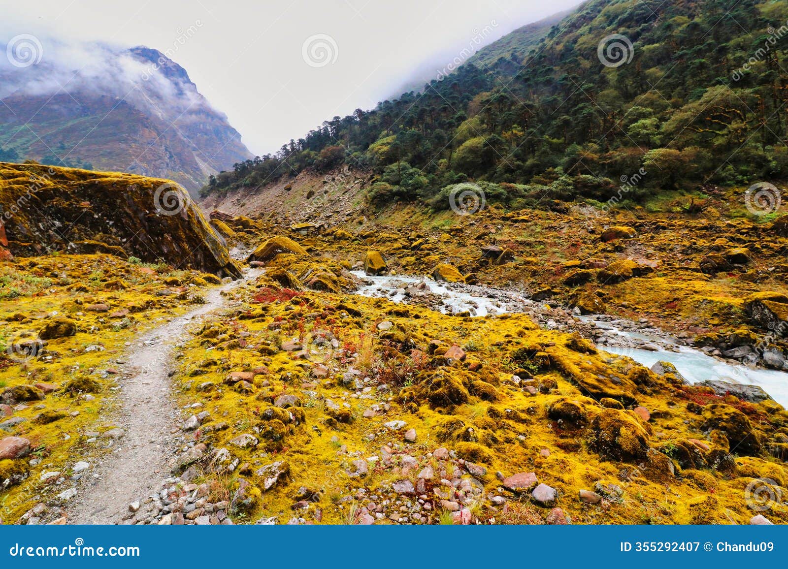 trekking trails,hinku river valley,mera peak trek