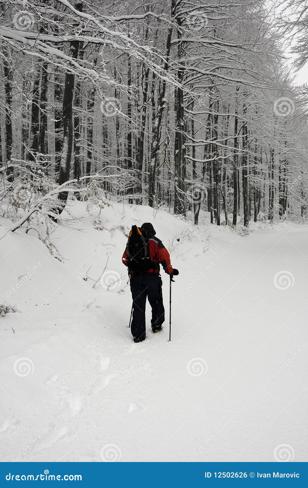 Trekking in the snow stock photo. Image of winter, footprints - 12502626