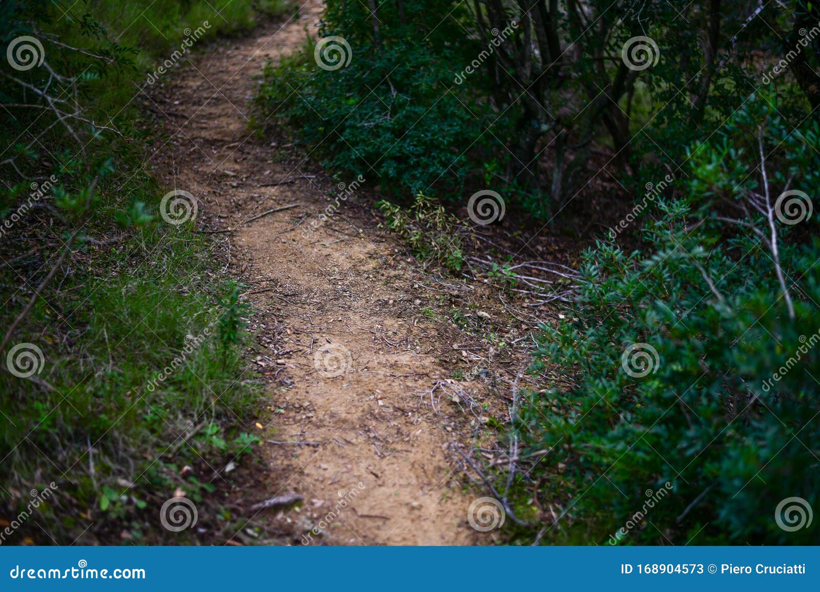 trekking trail in the mediterranean bush